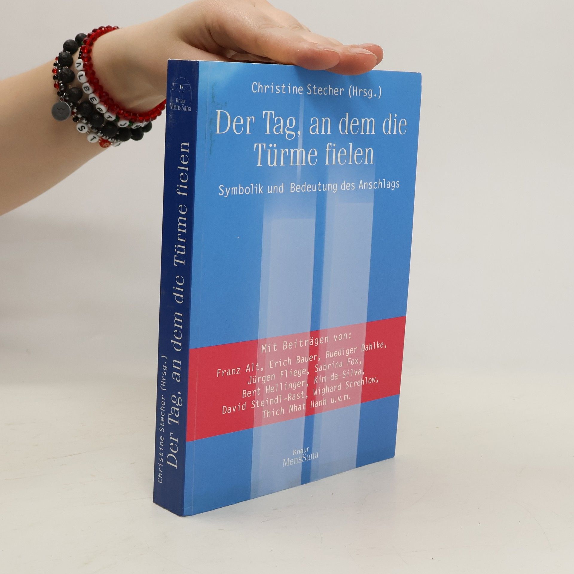 Stecher Christine Der Tag, an dem die Türme fielen