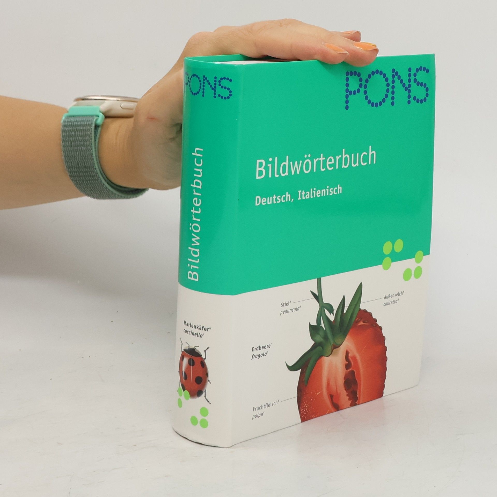 Jean-Claude Corbeil PONS Bildwörterbuch Deutsch, Italienisch