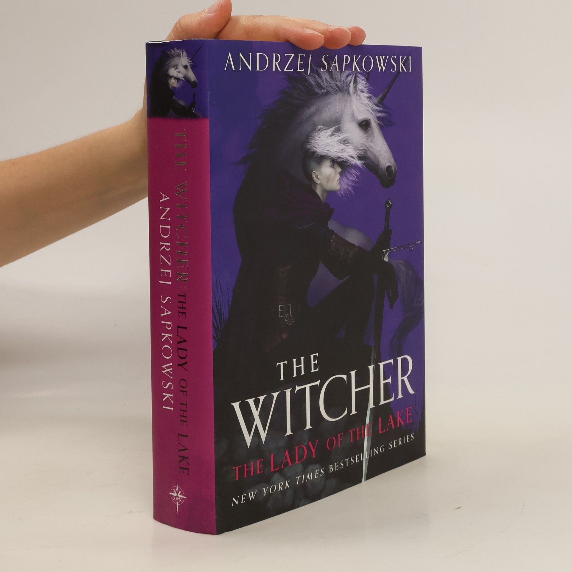 Andrzej Sapkowski The Witcher - The Lady of the Lake