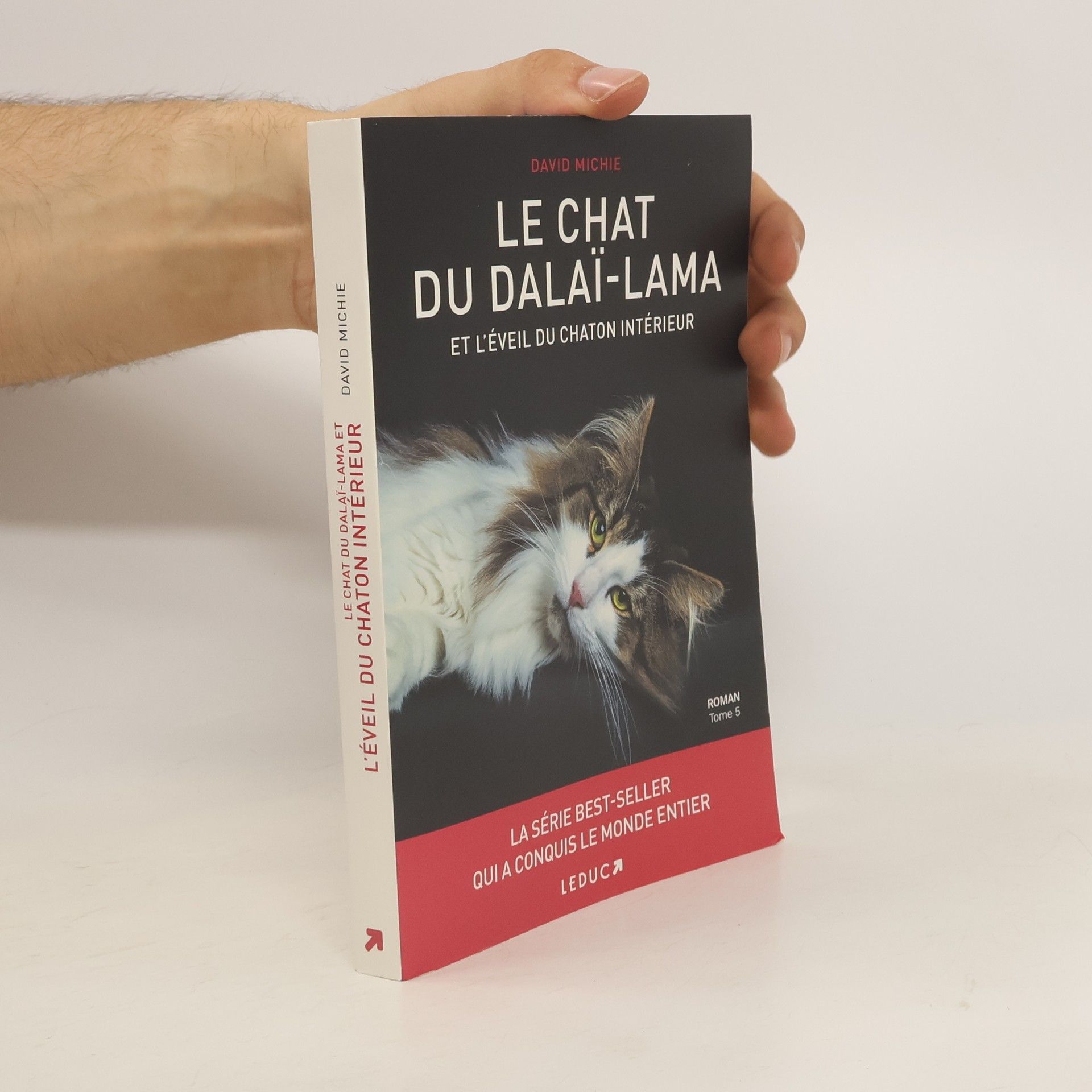 David Michie Le chat du Dalai-lama
