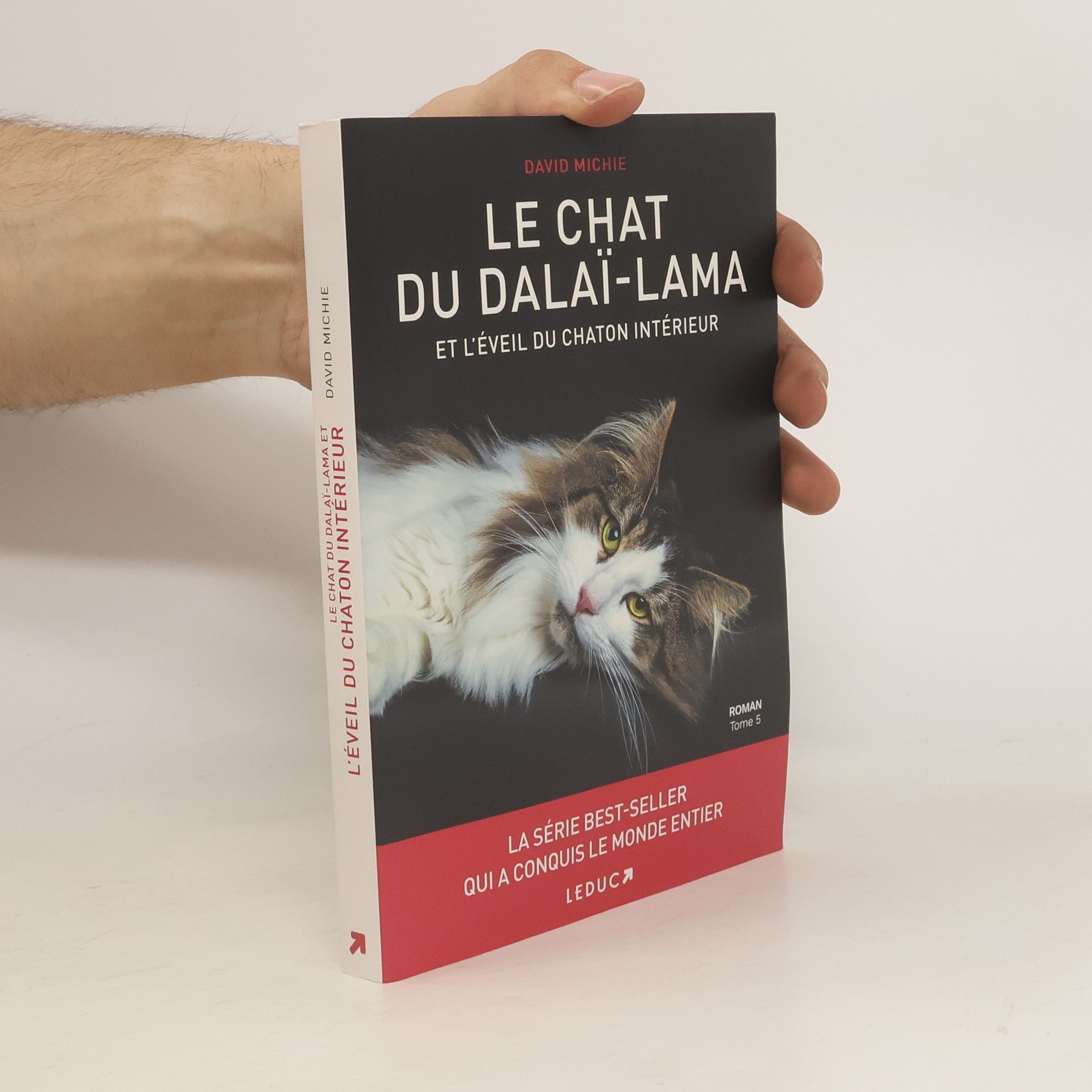 David Michie Le chat du Dalaï-Lama