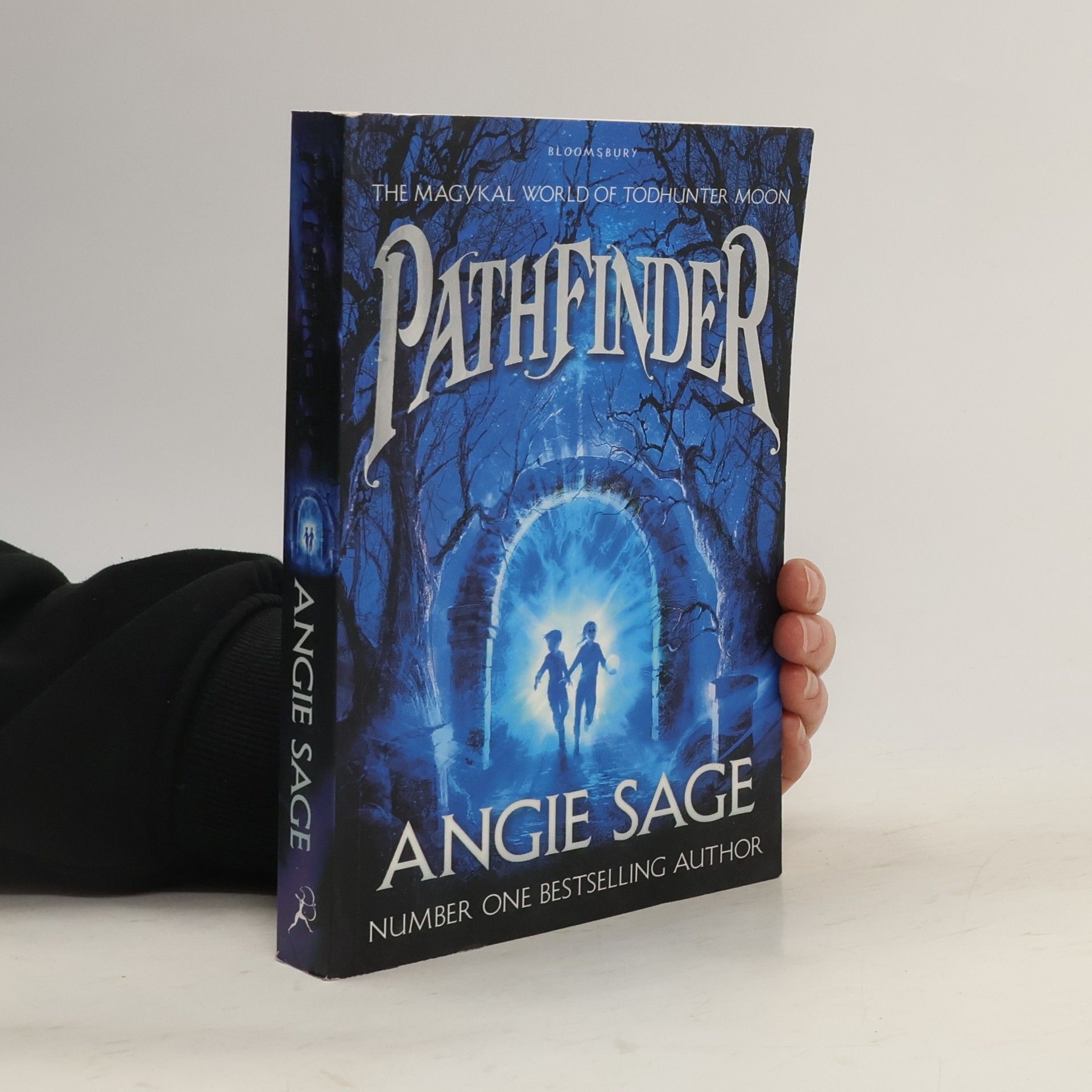 Angie Sage PathFinder