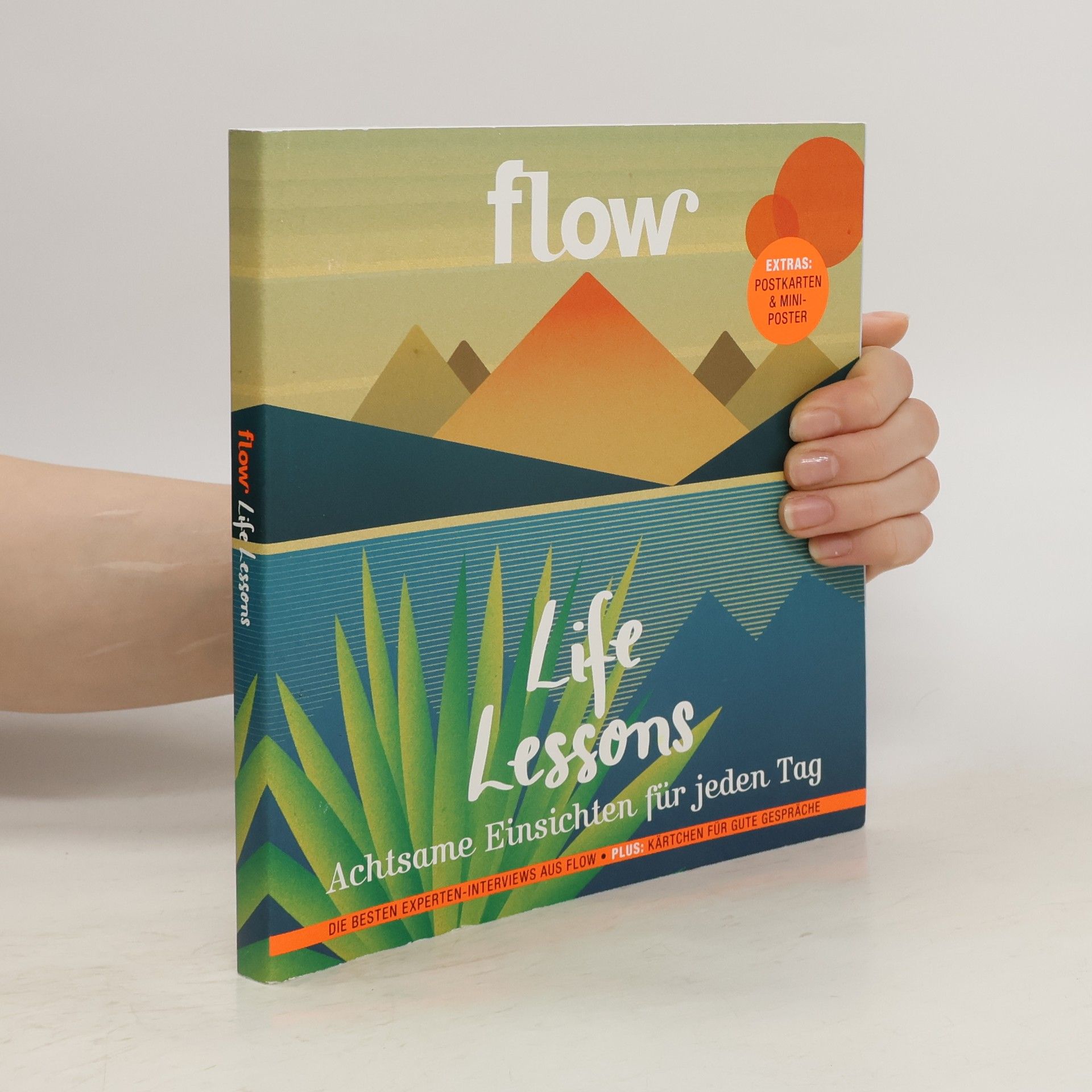 unbekannt Flow: Life Lessons