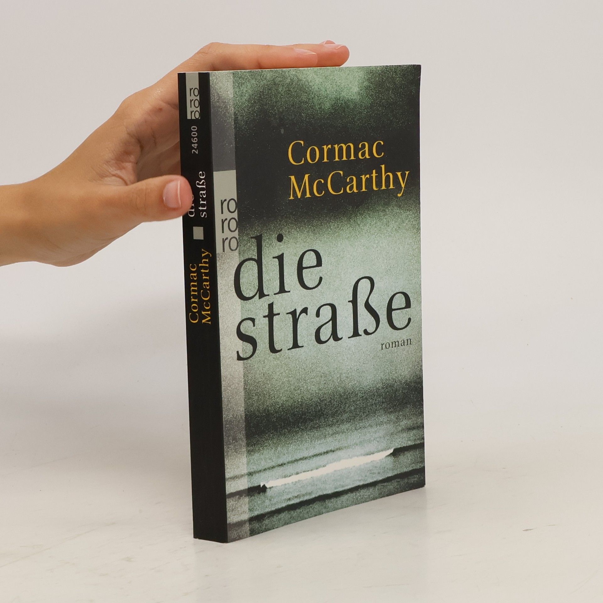 Cormac McCarthy Die Straße