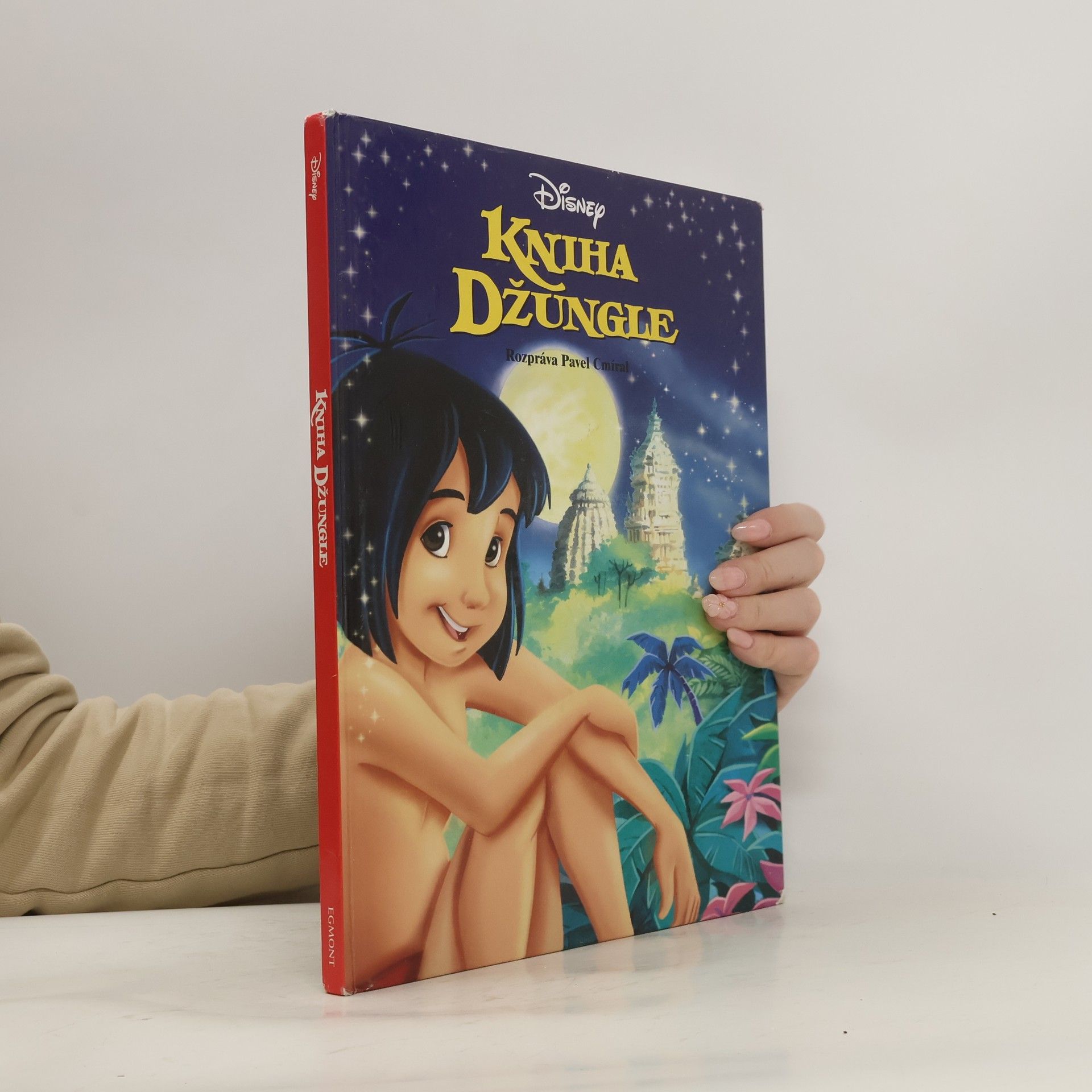 Pavel Cmíral Kniha džungle