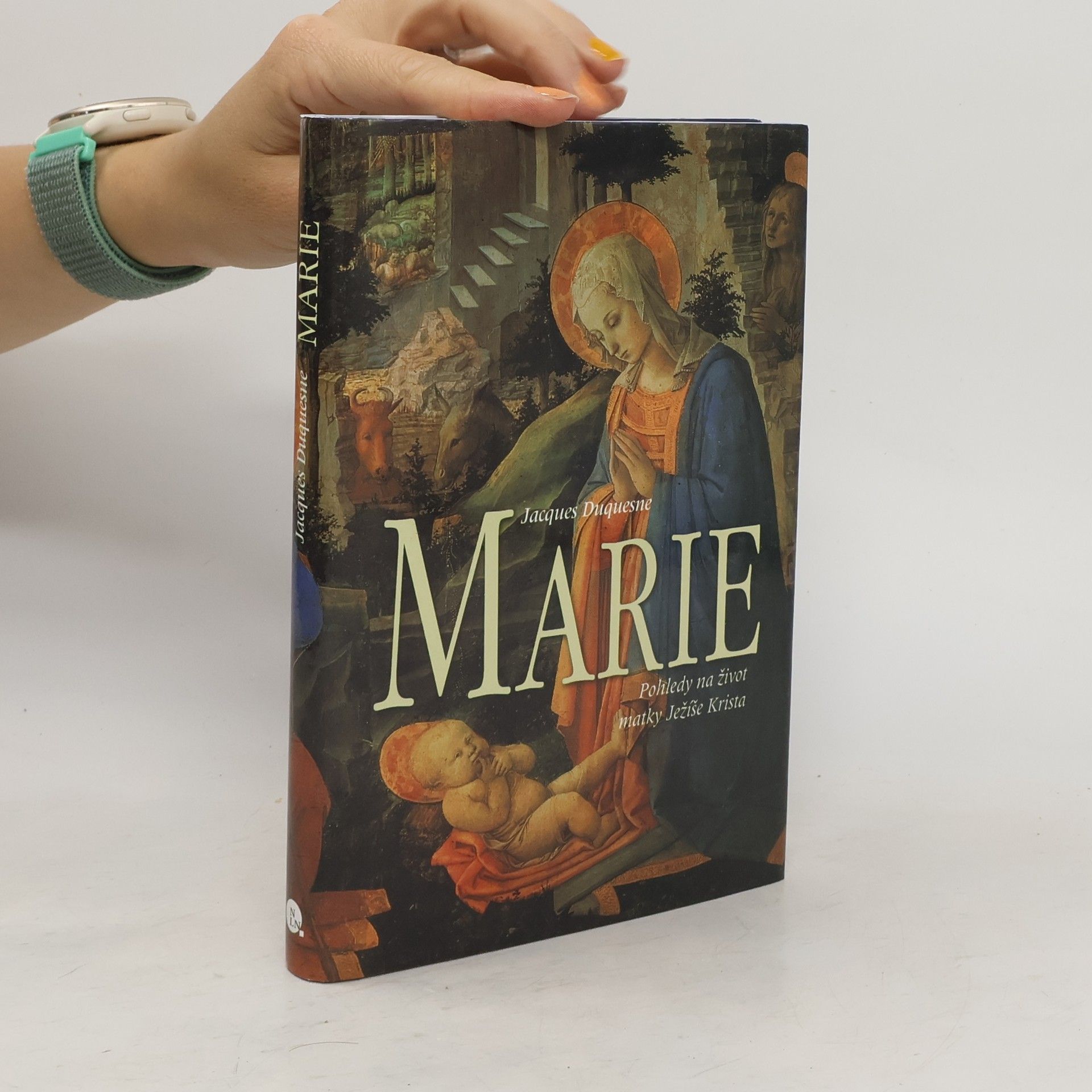 Jacques Duquesne Marie - Pohledy na život matky Ježíše Krista
