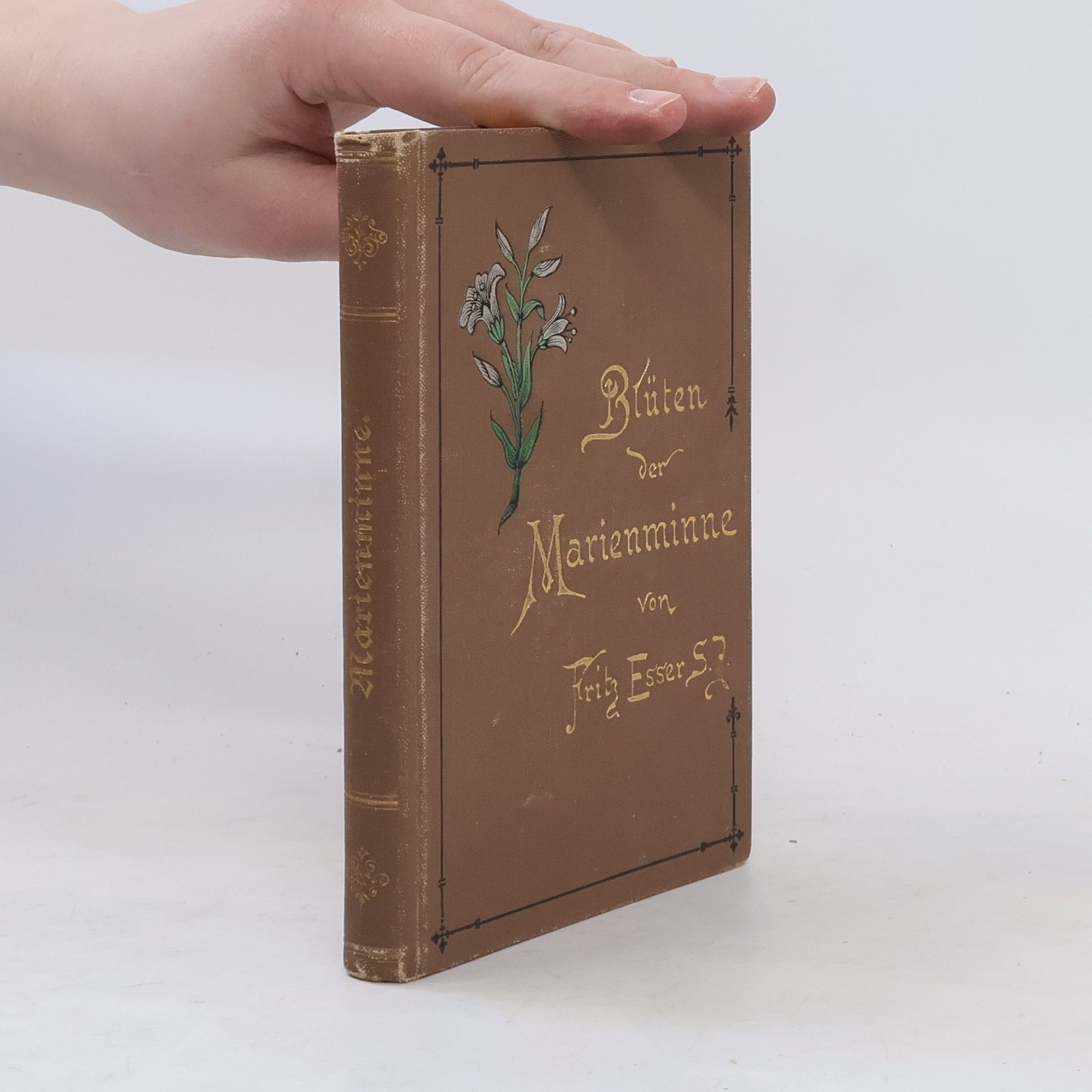 Fritz Esser Blüten der Marienminne