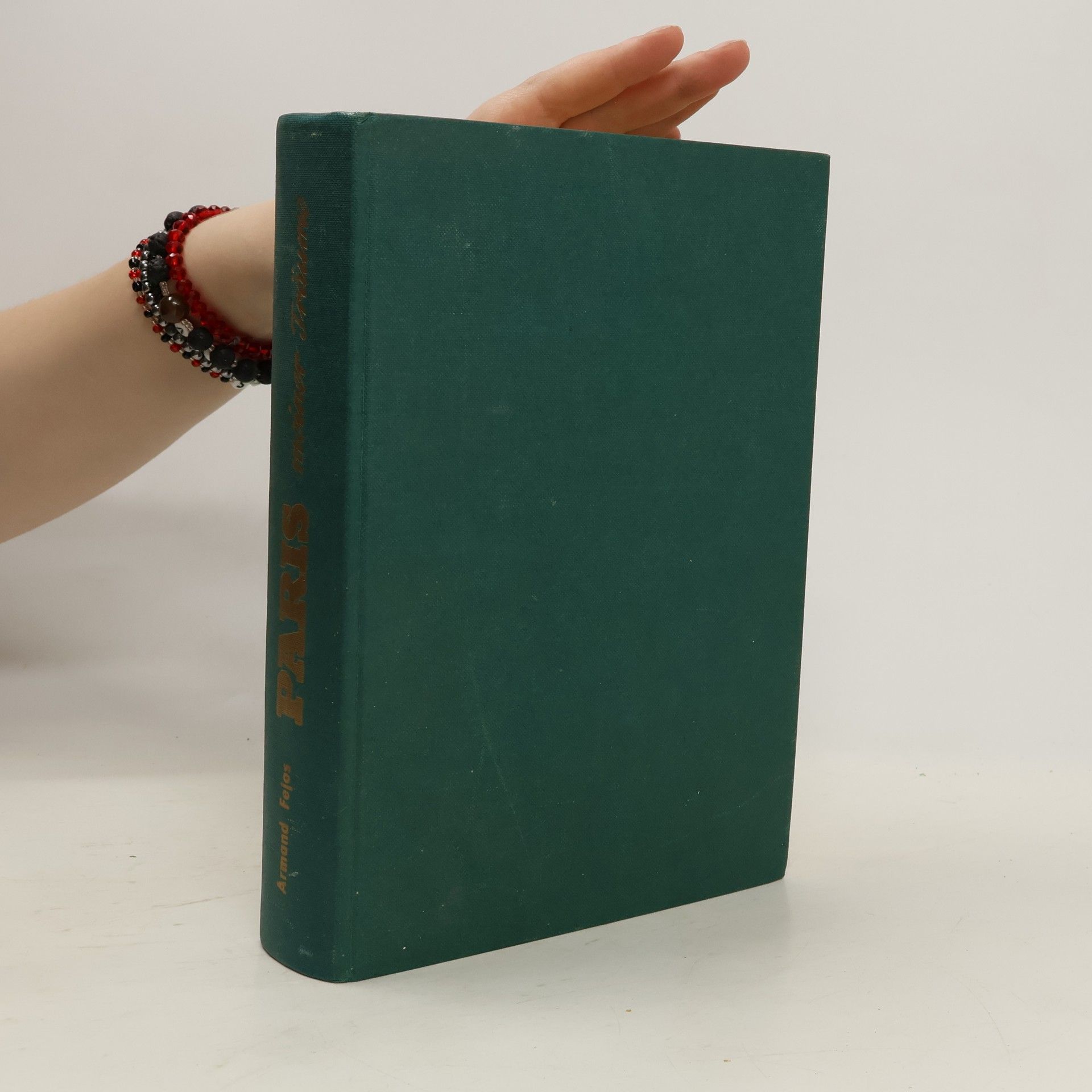 Armand Fejos Paris meiner Träume