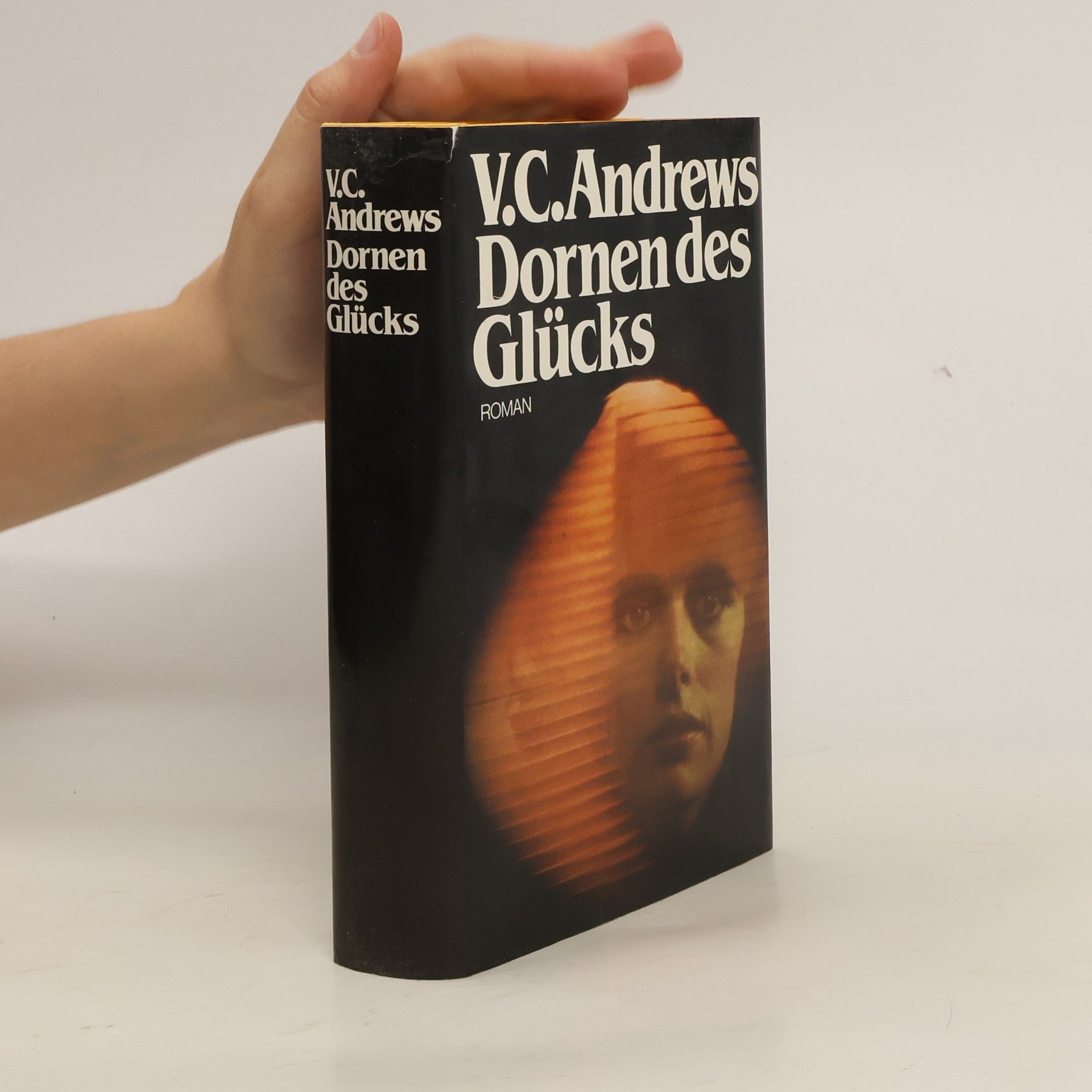 V. C. Andrews Dornen des Glücks