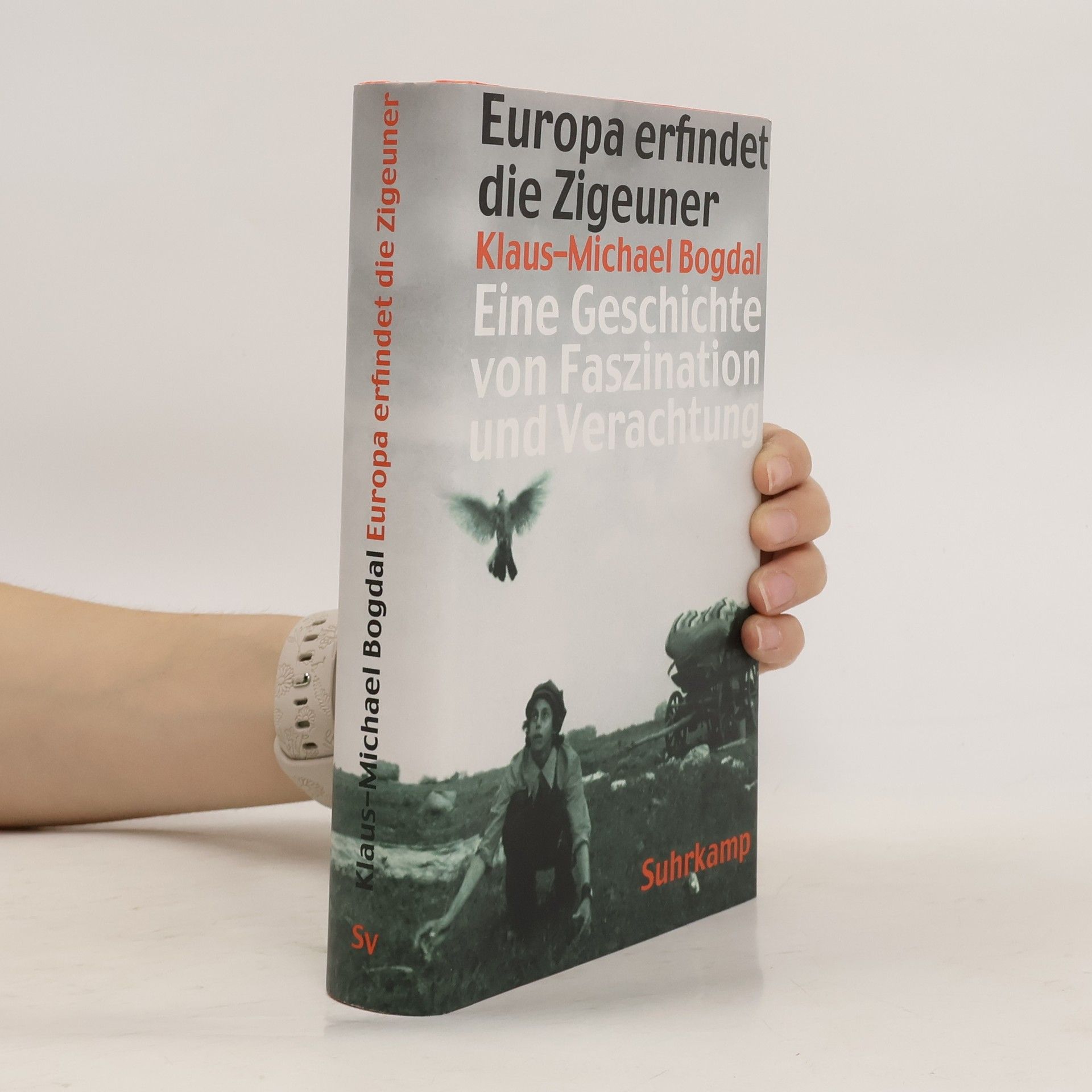 Klaus-Michael Bogdal Europa erfindet die Zigeuner