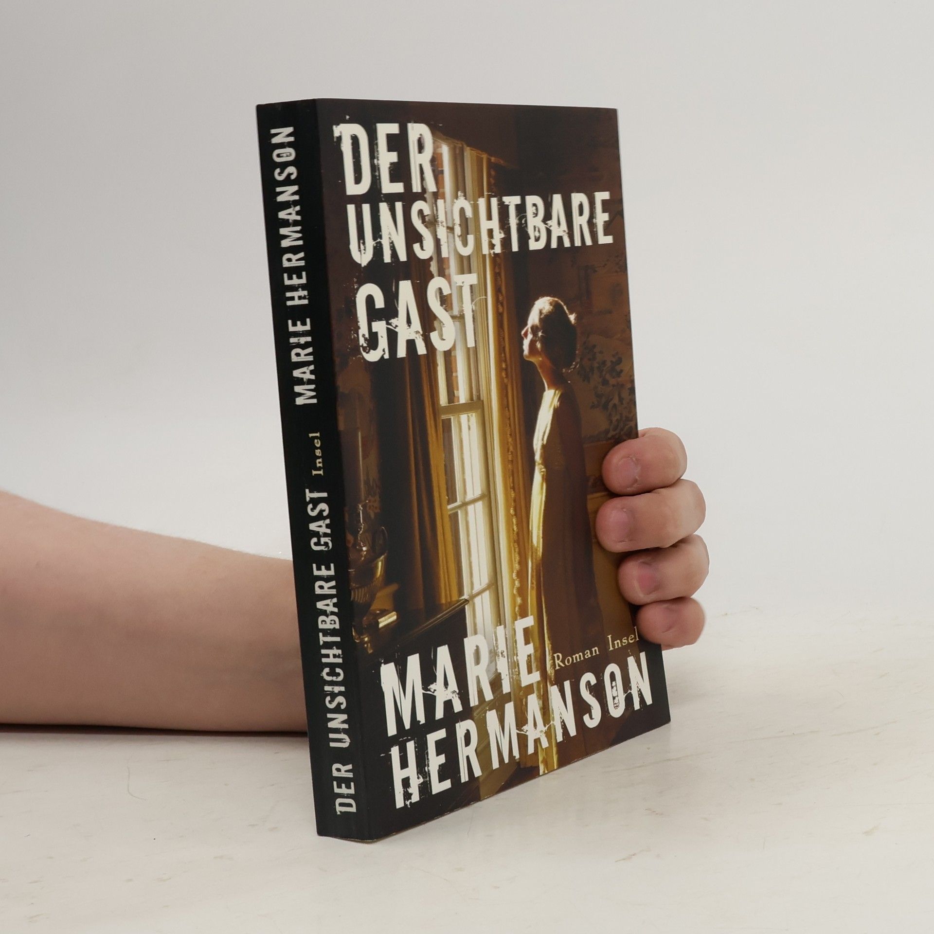 Marie Hermanson Der unsichtbare Gast