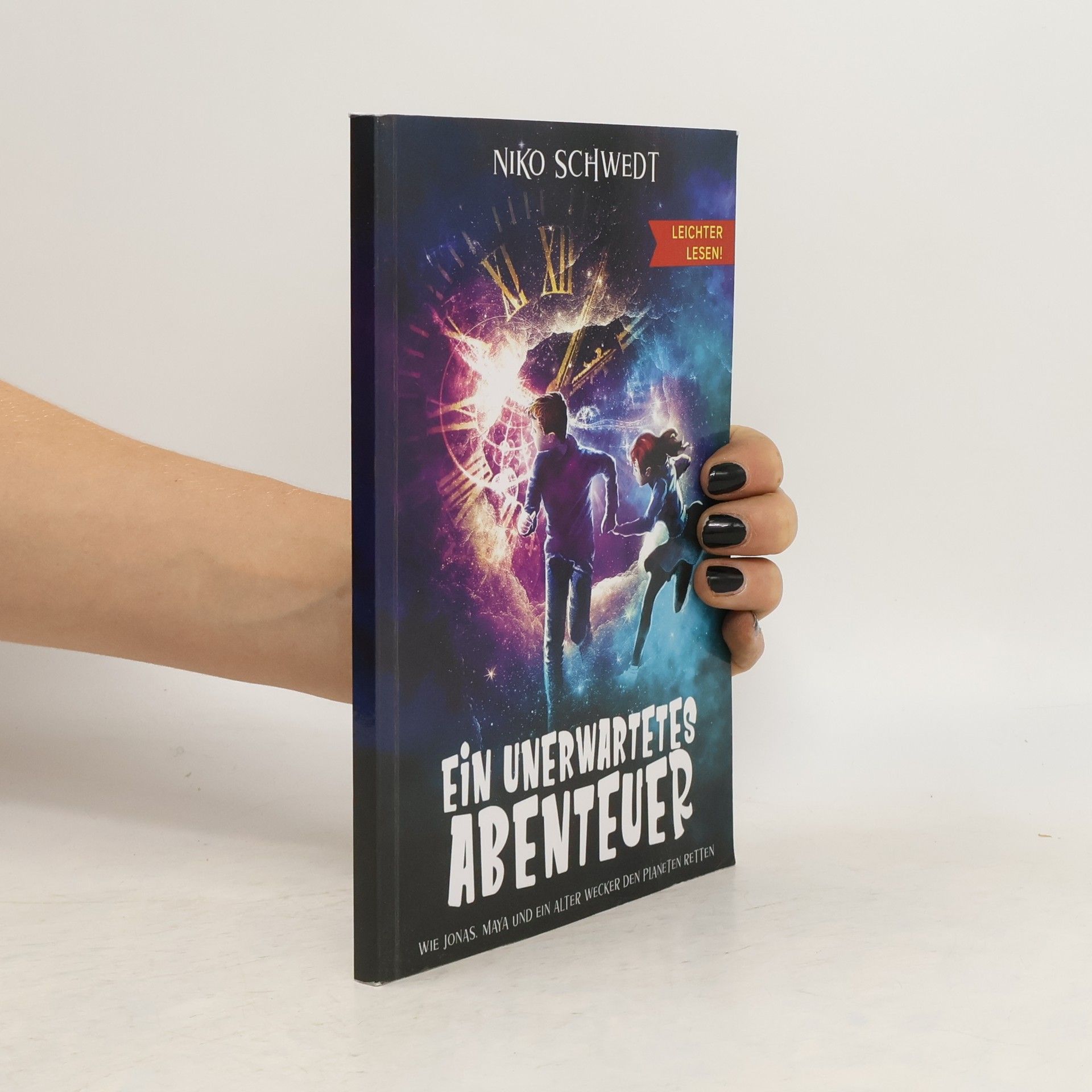Niko Schwedt Ein unerwartetes Abenteuer