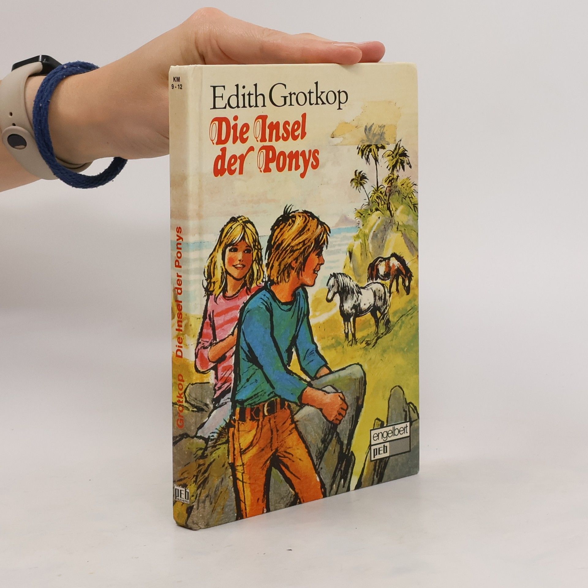 Edith Grotkop Die Insel der Ponys
