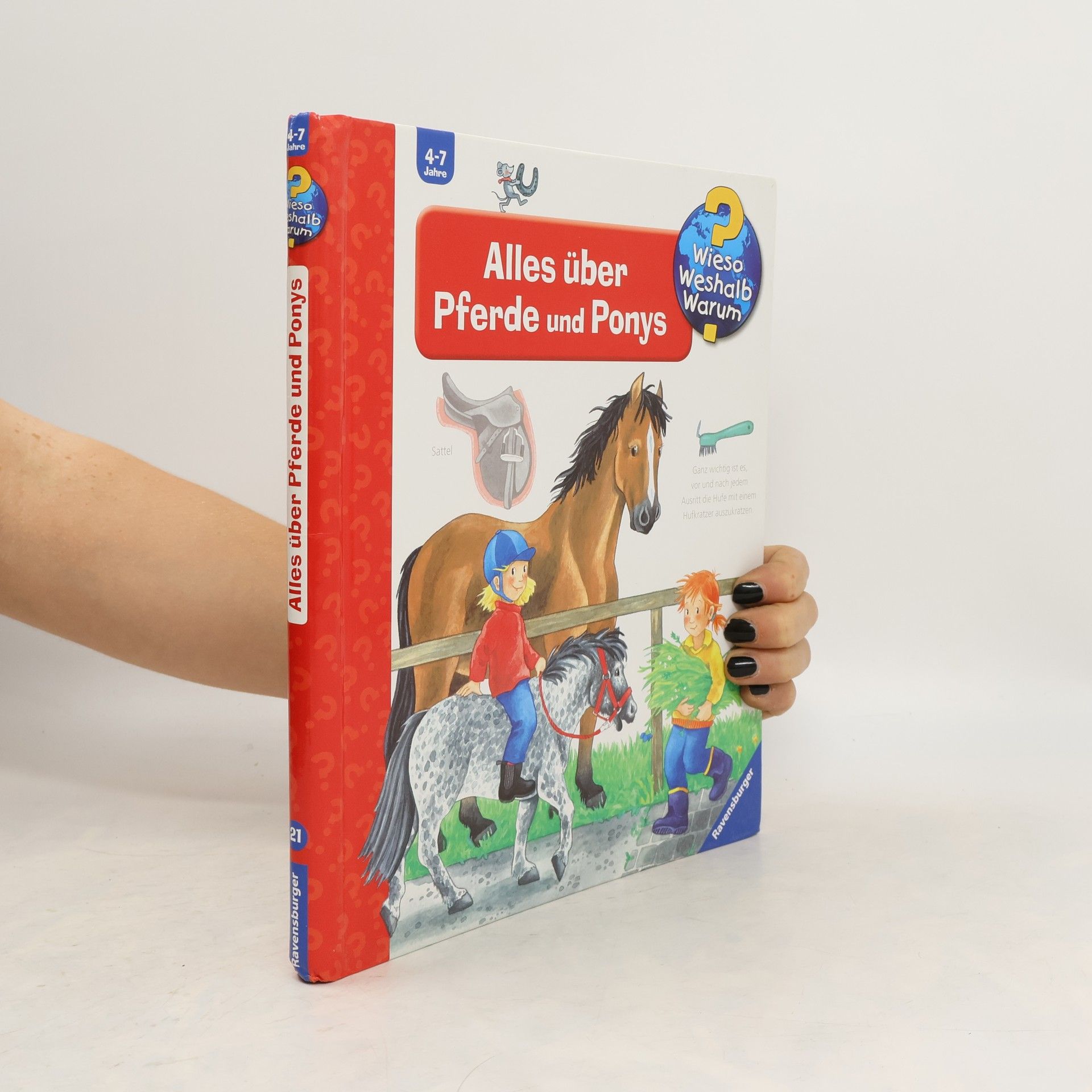 Andrea Erne Alles über Pferde und Ponys