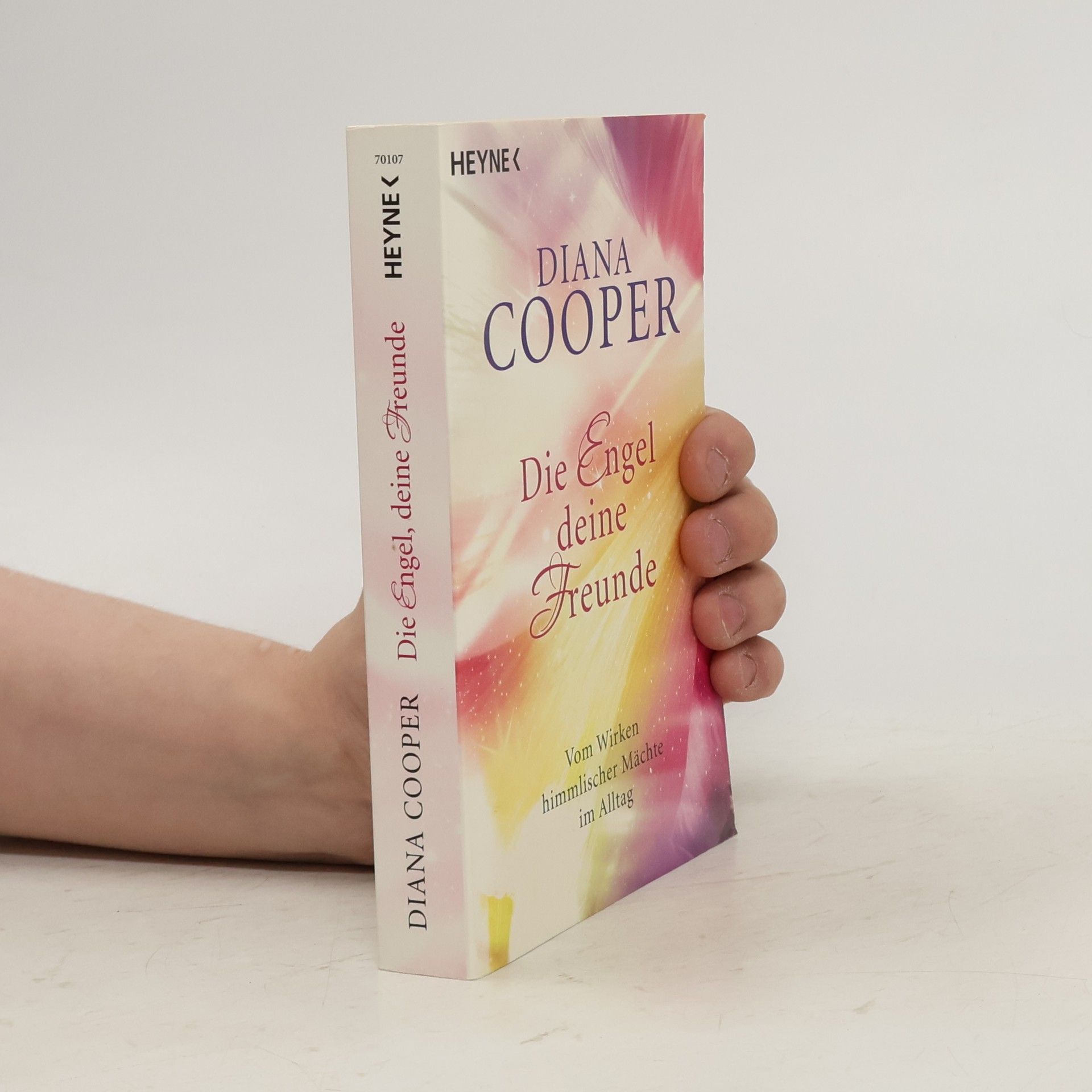 Diana Cooper Die Engel, deine Freunde