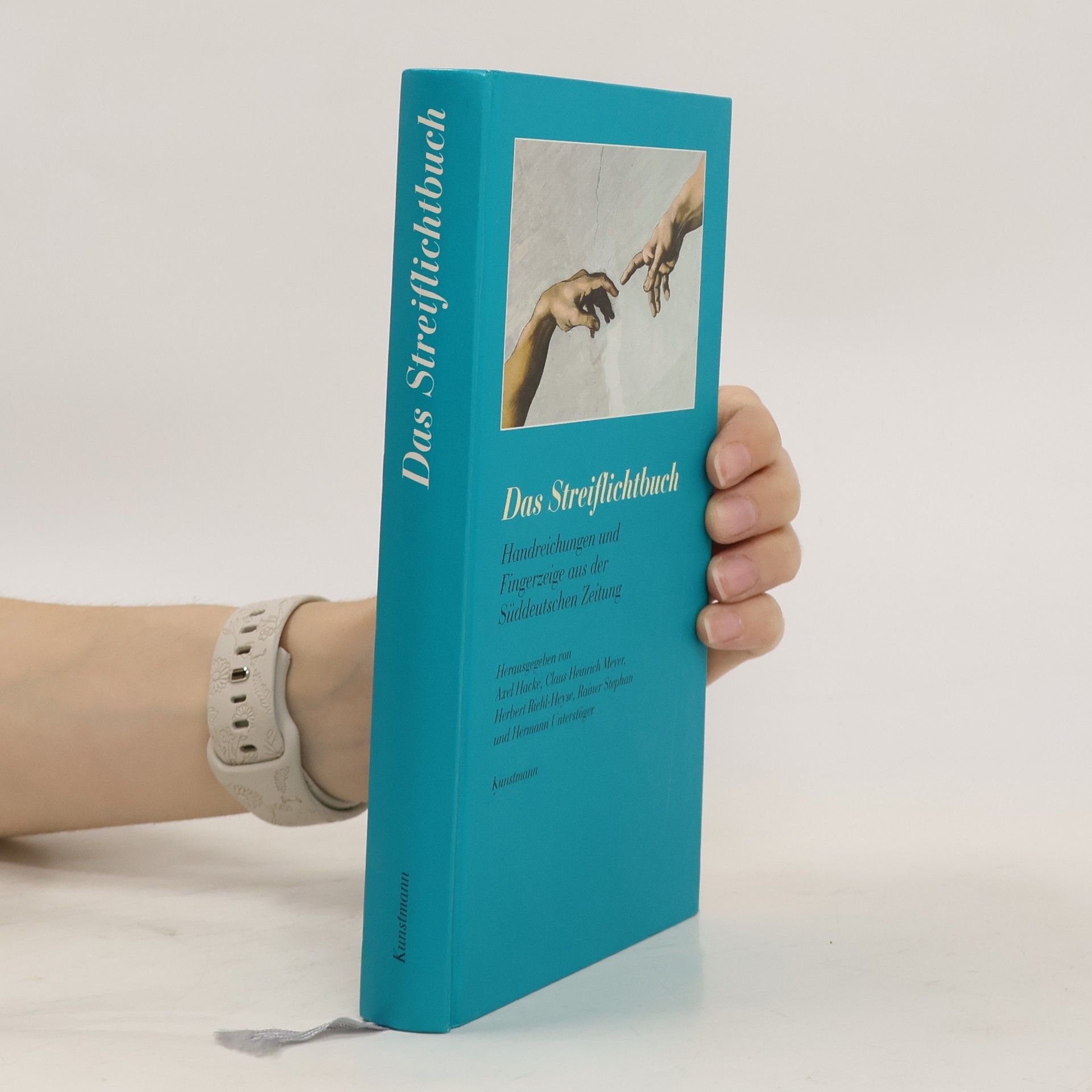 Axel Hacke Das Streiflichtbuch