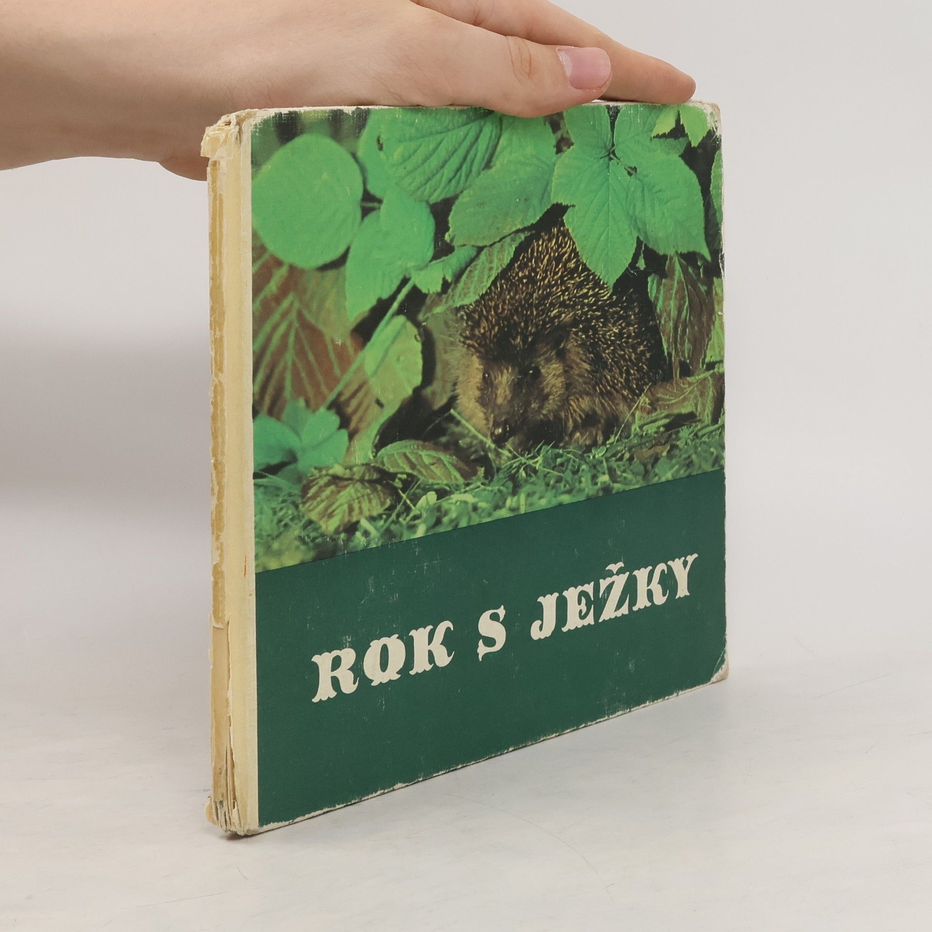 Friedrich W. Stöcker Rok s ježky
