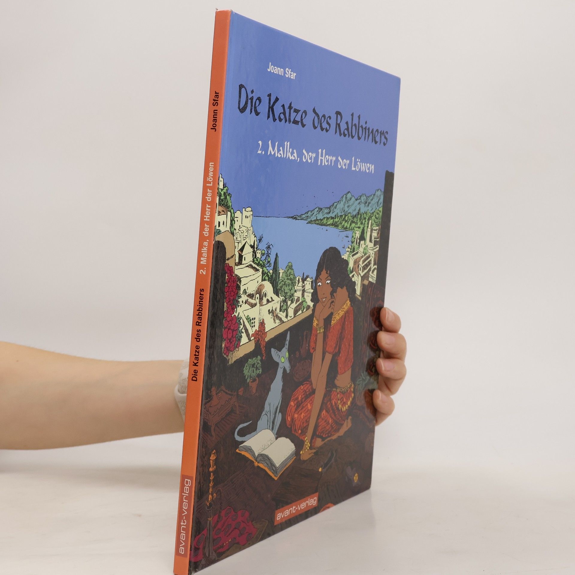 Joann Sfar Die Katze des Rabbiners