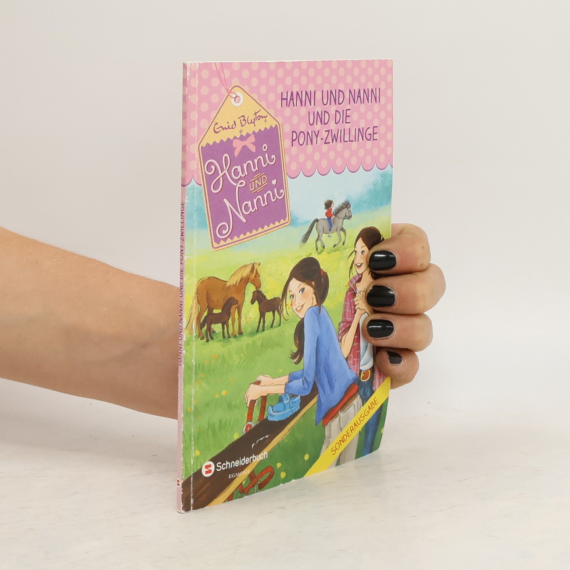 Enid Blyton Hanni und Nanni und die Pony-Zwillinge