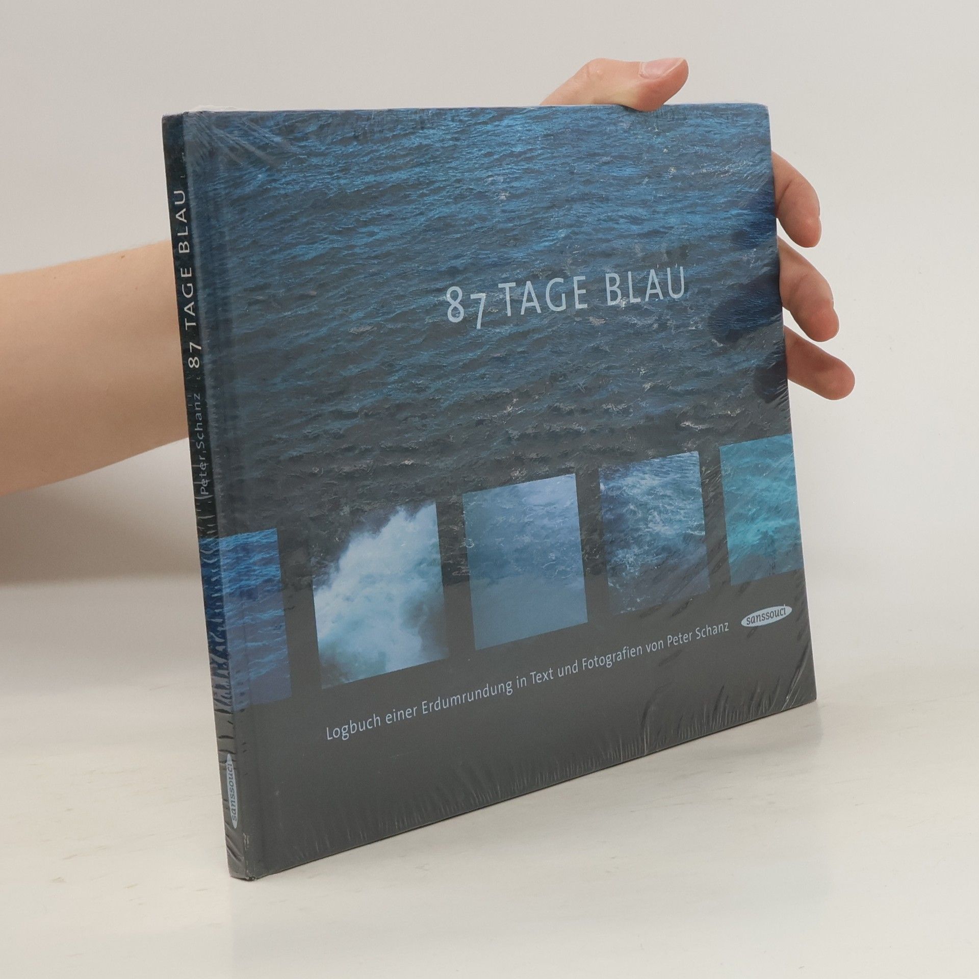 Peter Schanz 87 Tage Blau
