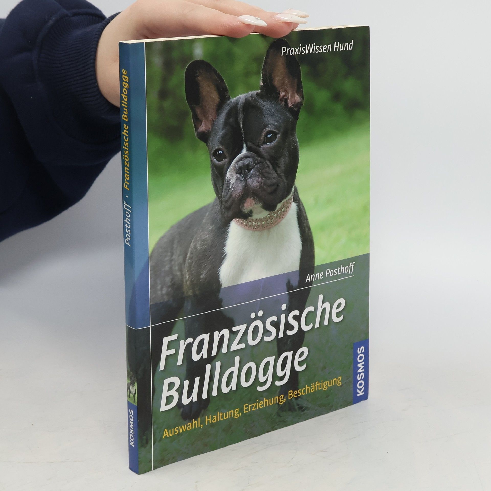 Anne Posthoff Französische Bulldogge