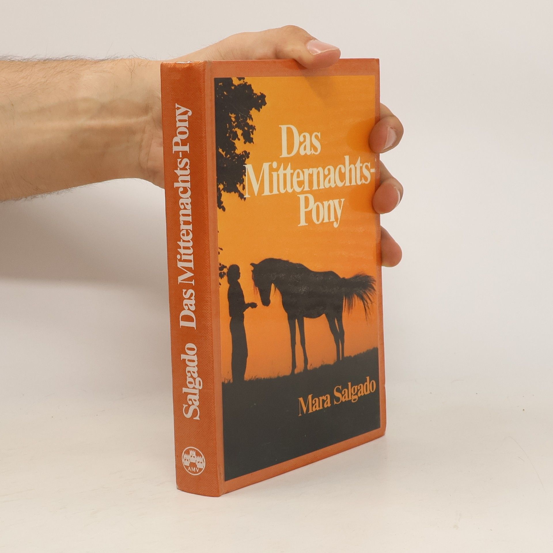 Mara Salgado Das Mitternachts-Pony