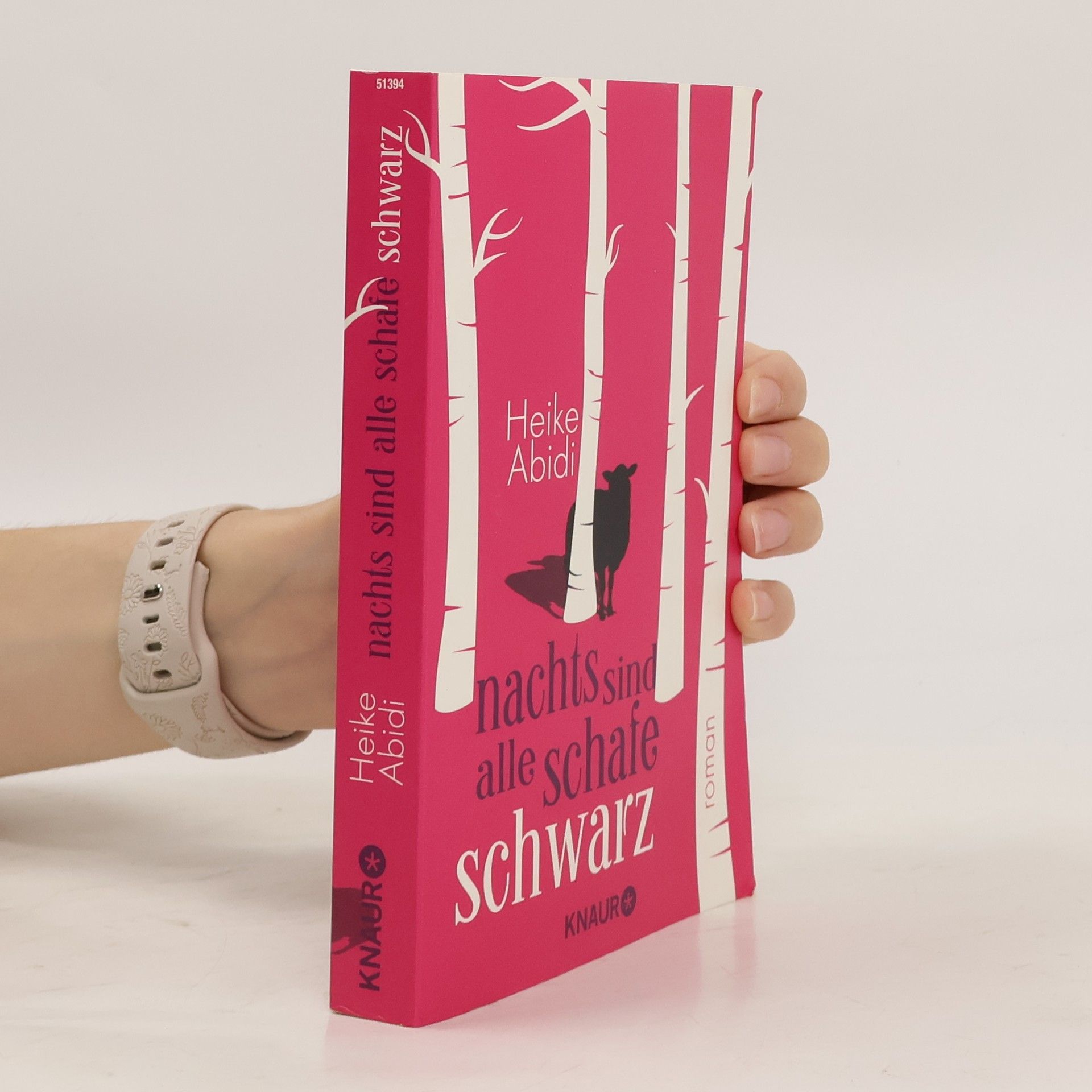Heike Abidi Nachts sind alle Schafe schwarz
