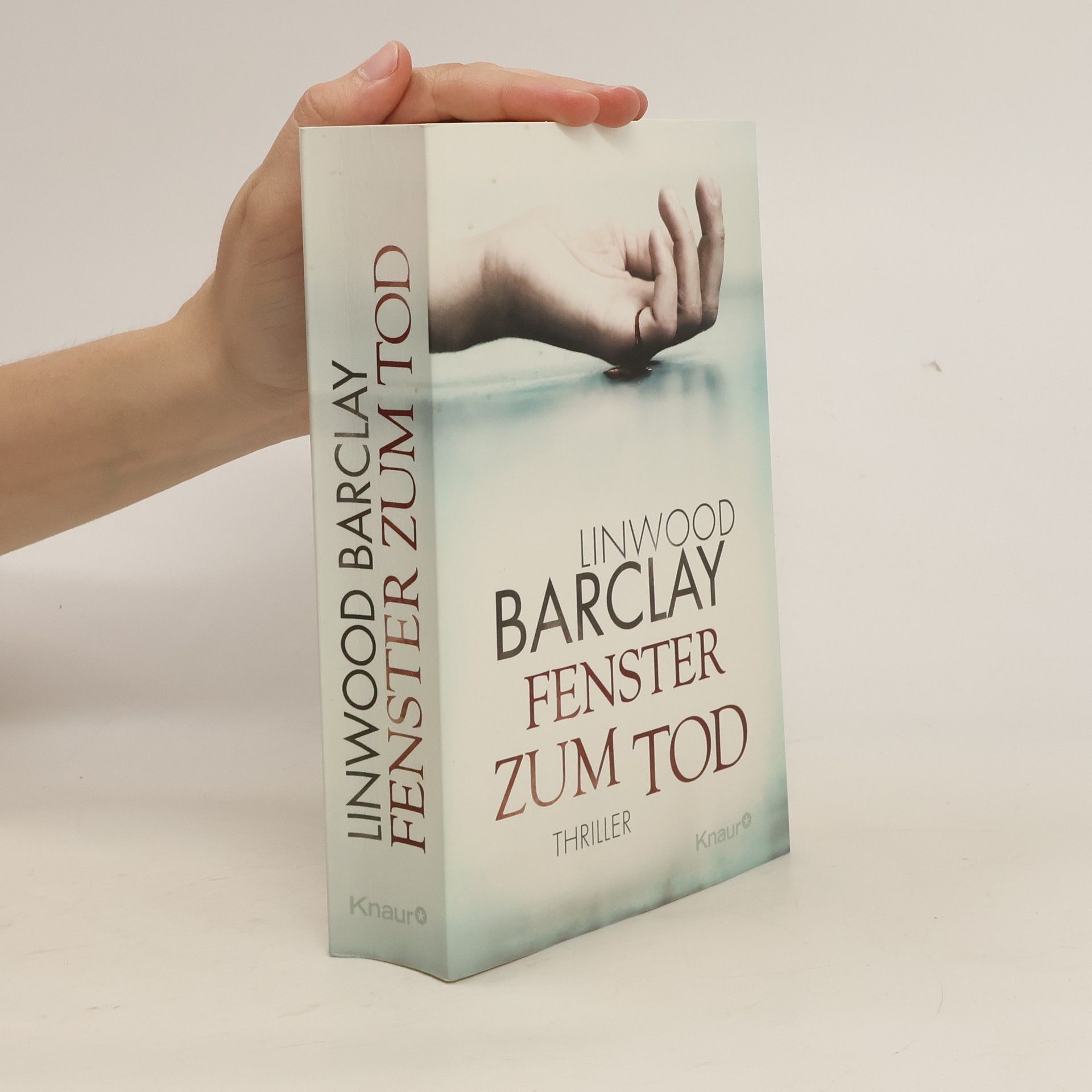 Linwood Barclay Fenster zum Tod