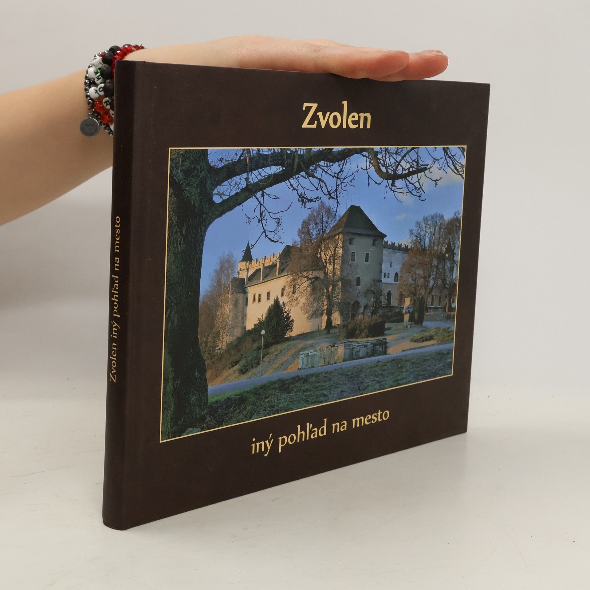 Pavel Albert Zvolen. Iný pohľad na mesto
