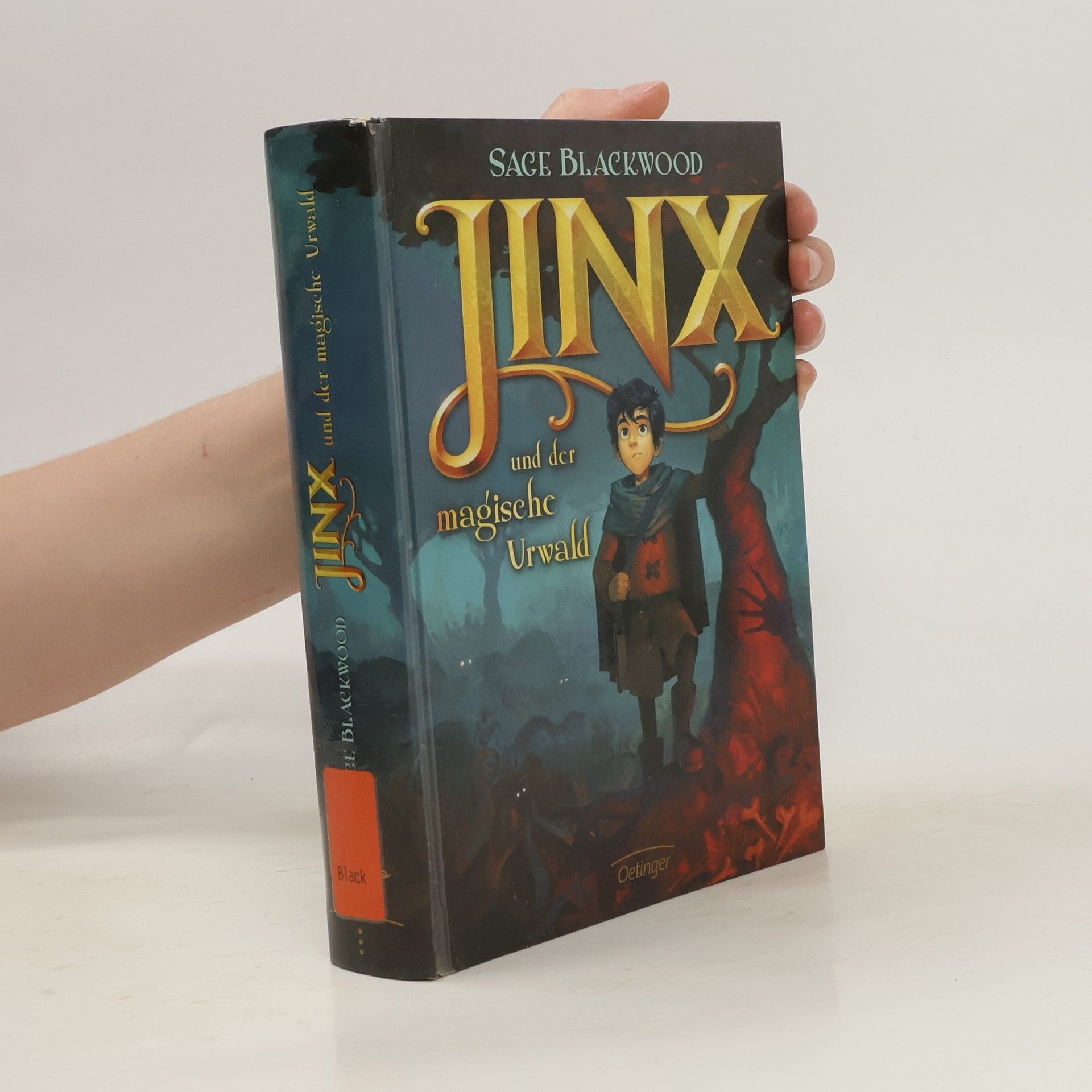 Karen Schwabach Jinx und der magische Urwald