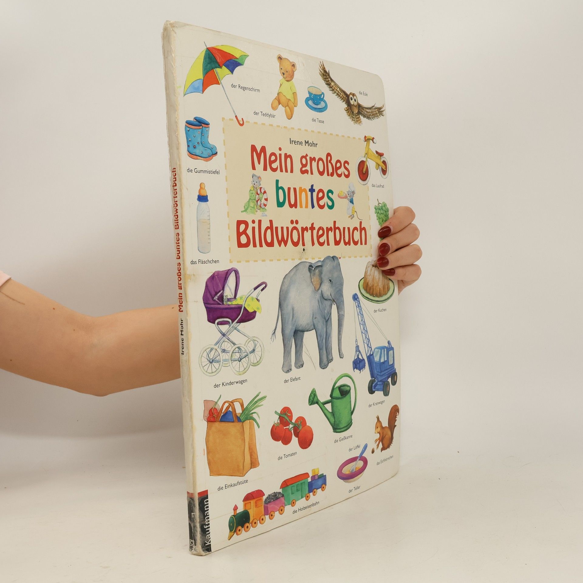 Irene Mohr Mein großes buntes Bildwörterbuch