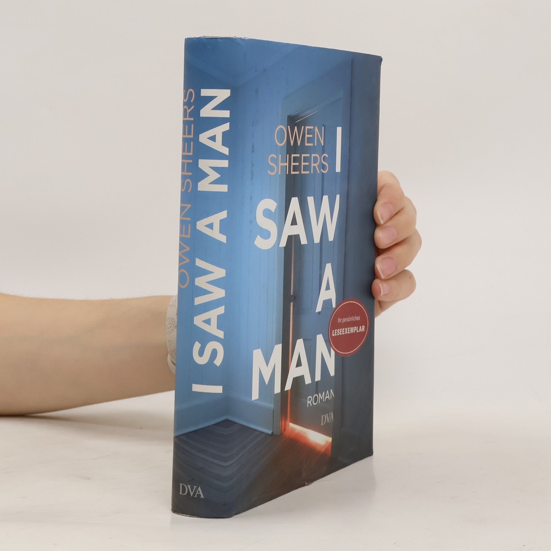 Owen Sheers I Saw a Man