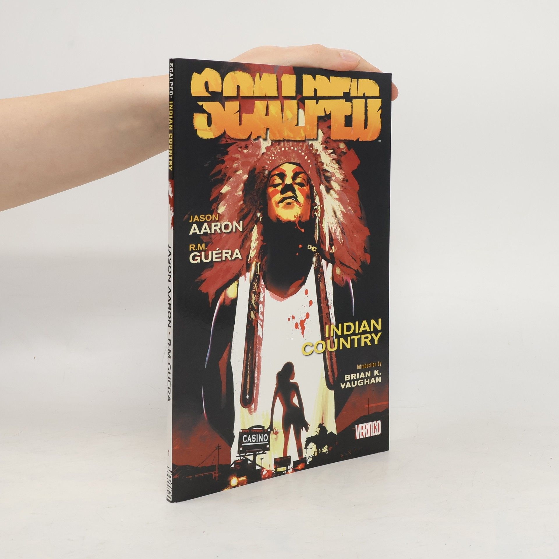 Jason Aaron Scalped : Indian country