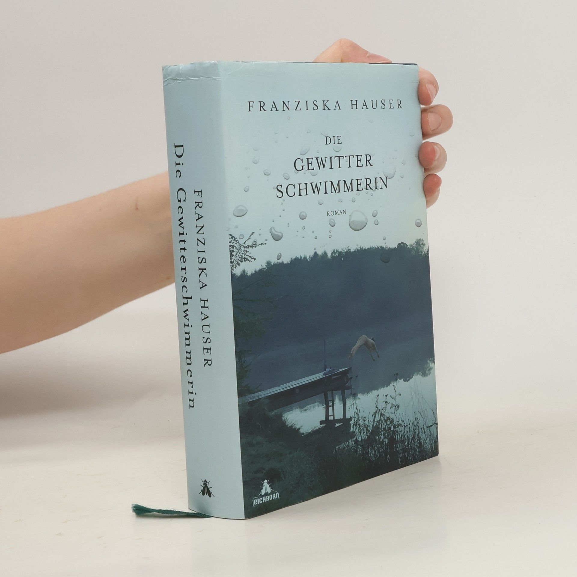 Franziska Hauser Die Gewitterschwimmerin