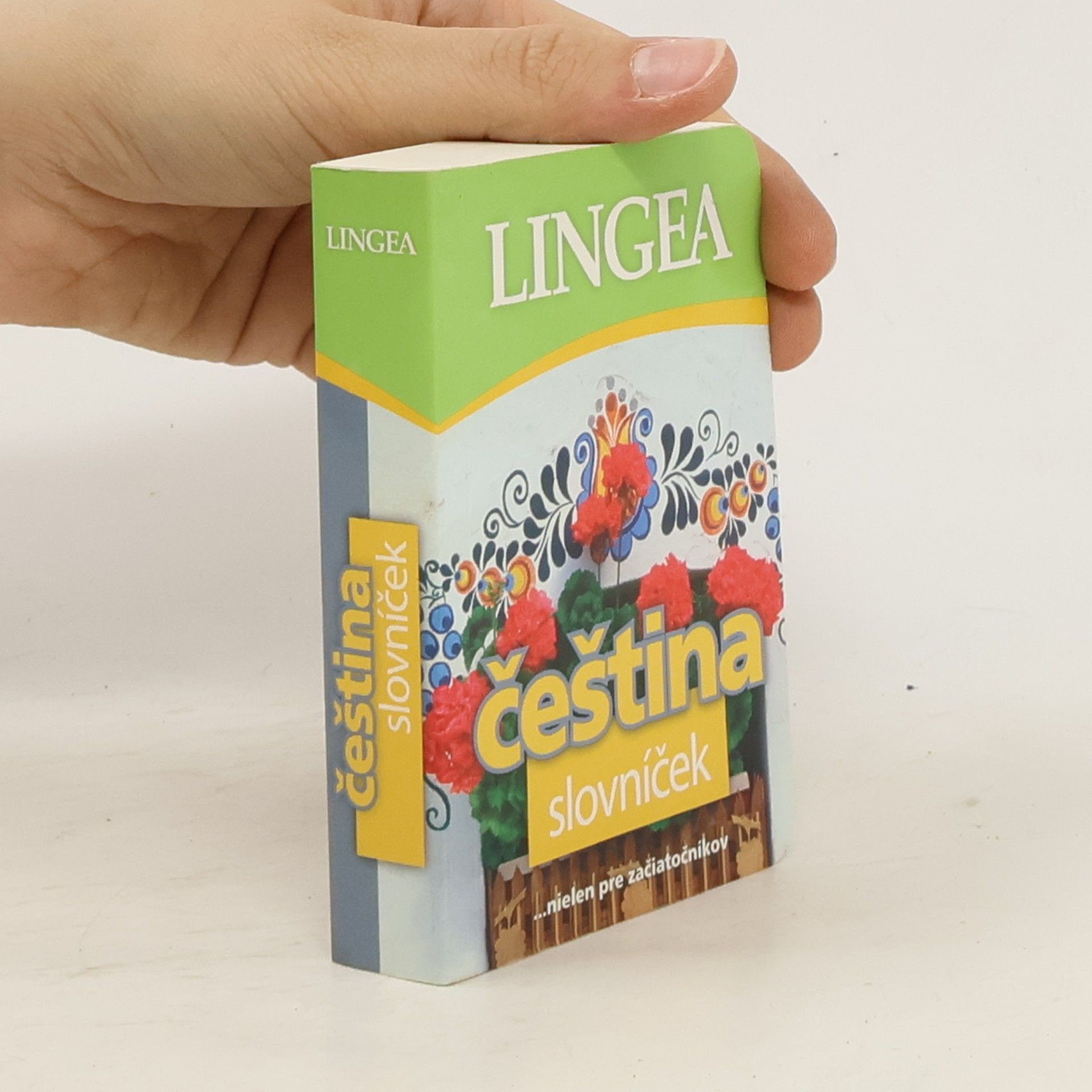 kolektiv Čeština. Slovníček nielen pre začiatočníkov