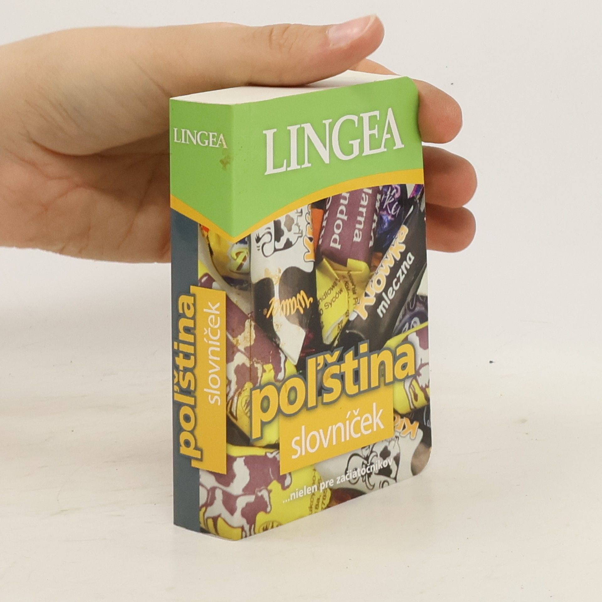 kolektiv Poľština slovníček