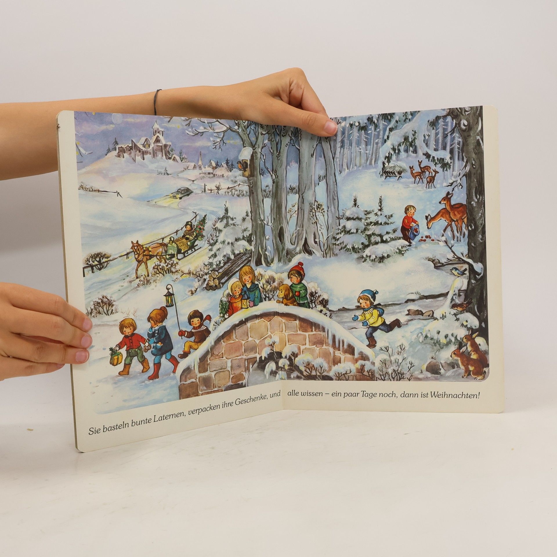 Various authors Fröhliche Weihnachtszeit