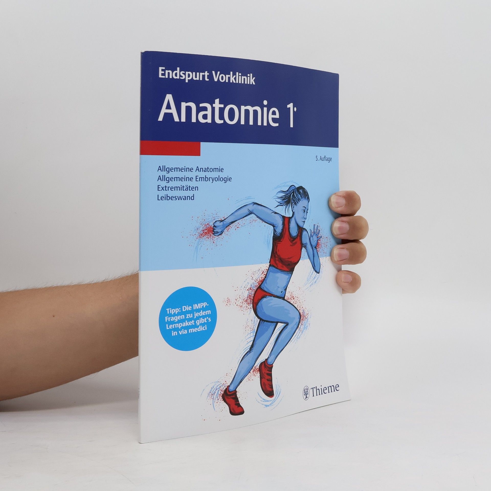 Collectif d'auteurs Endspurt Vorklinik. Anatomie 1