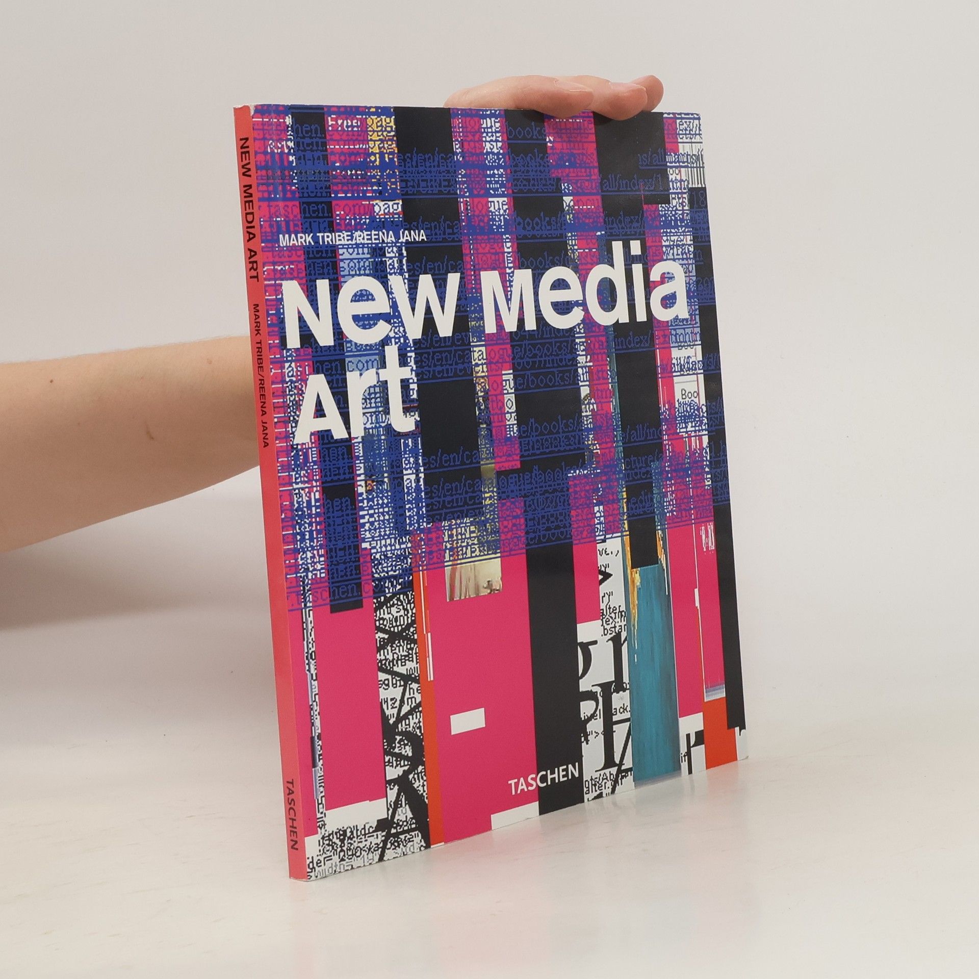 Mark Tribe New media art