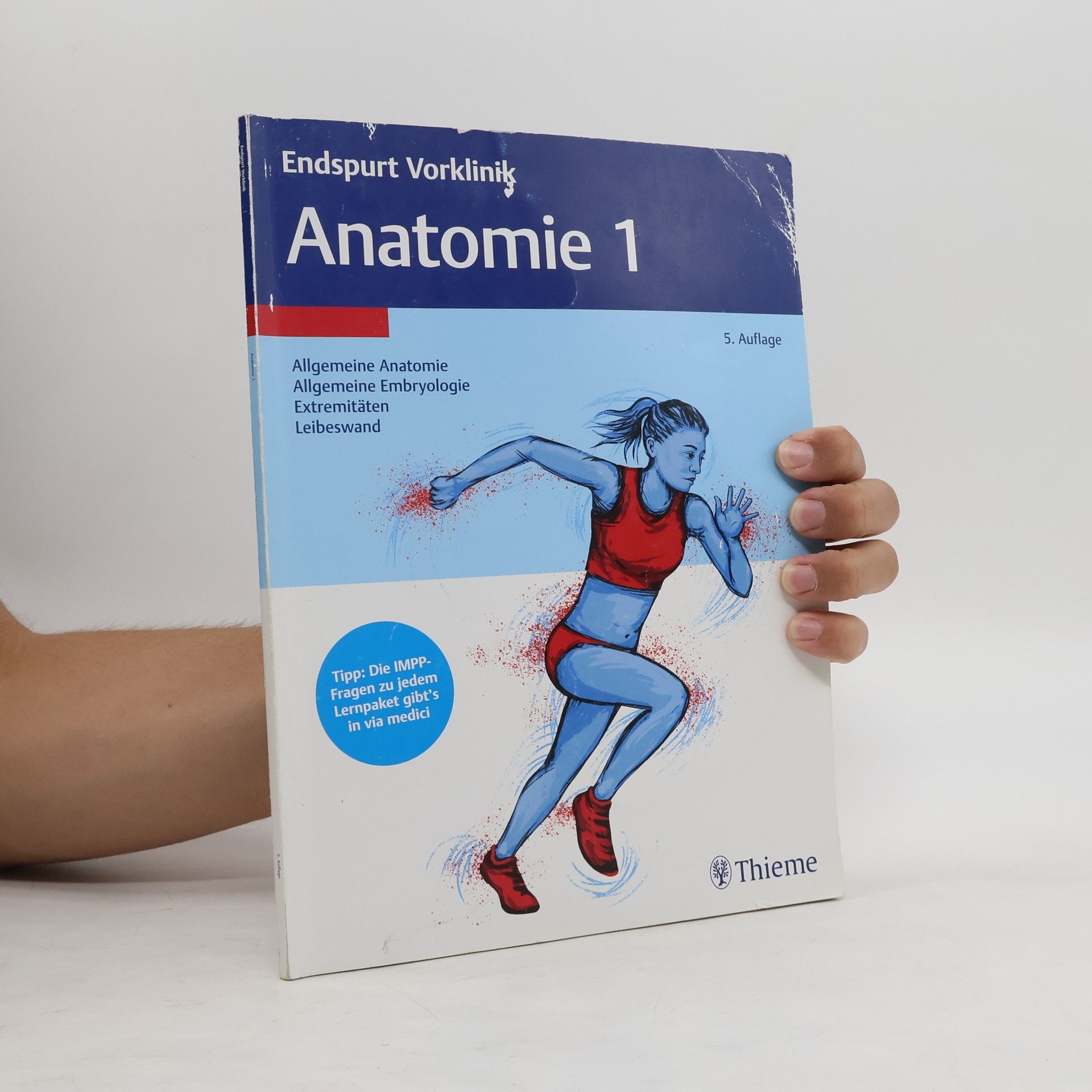 Autorenkollektiv Endspurt Vorklinik. Anatomie 1