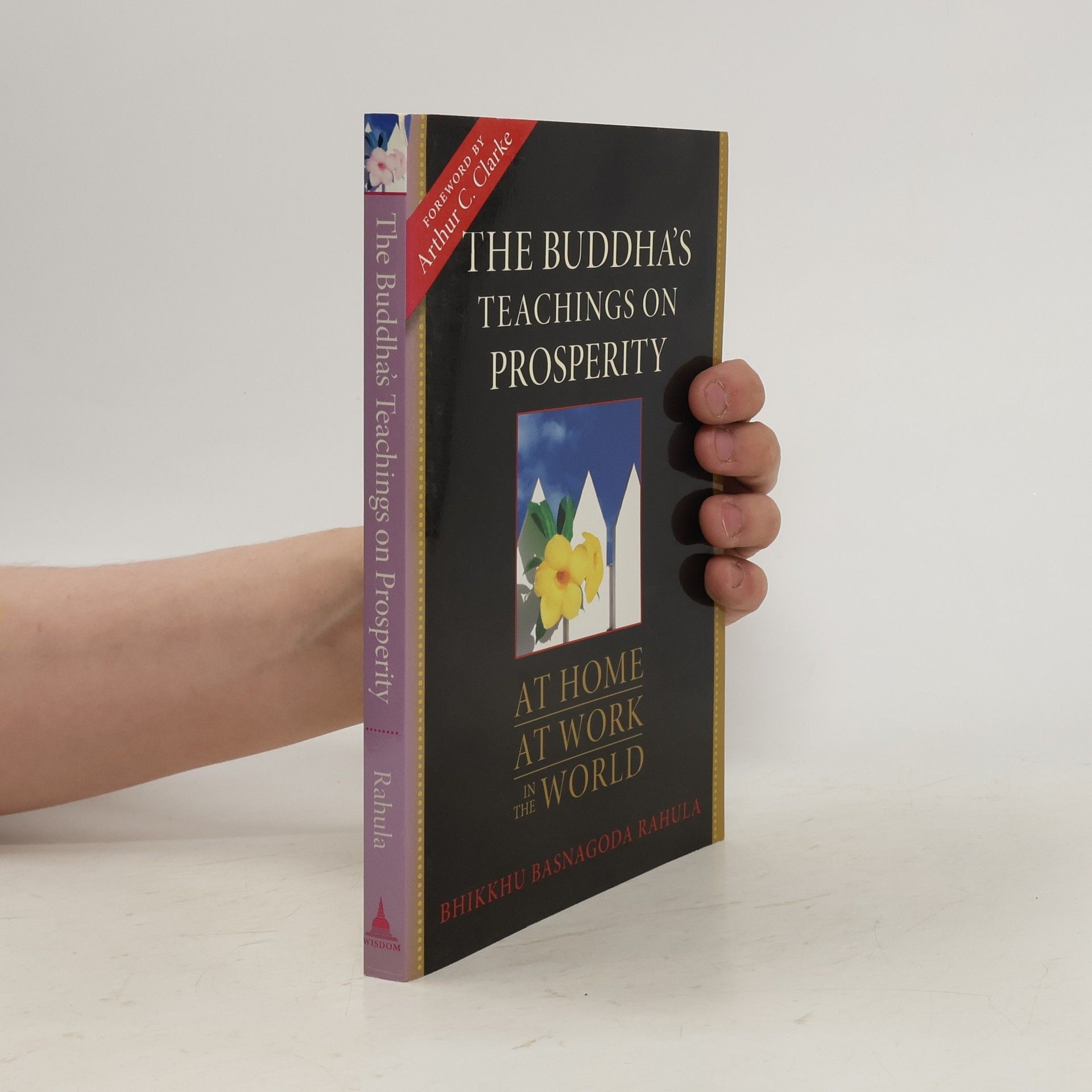 Bhikkhu Rahula Basnagoda The Buddha's Teachings to Laypeople