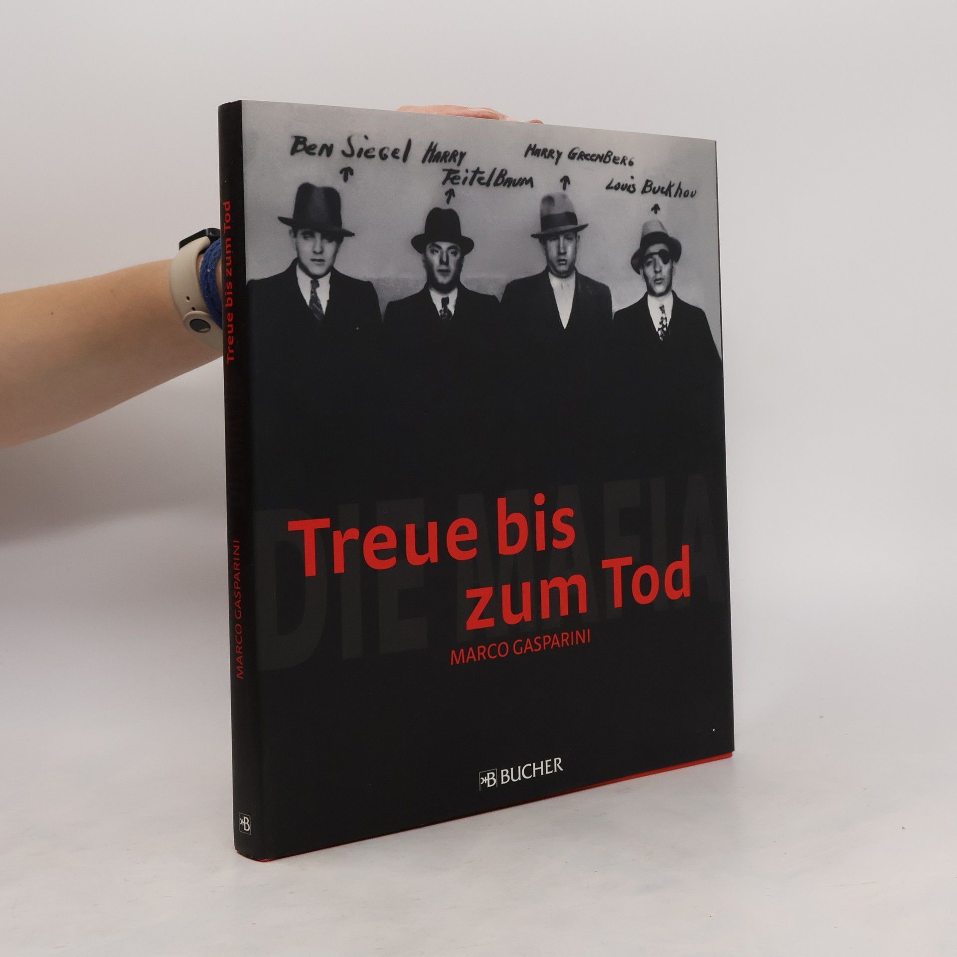Marco Gasparini Die Mafia