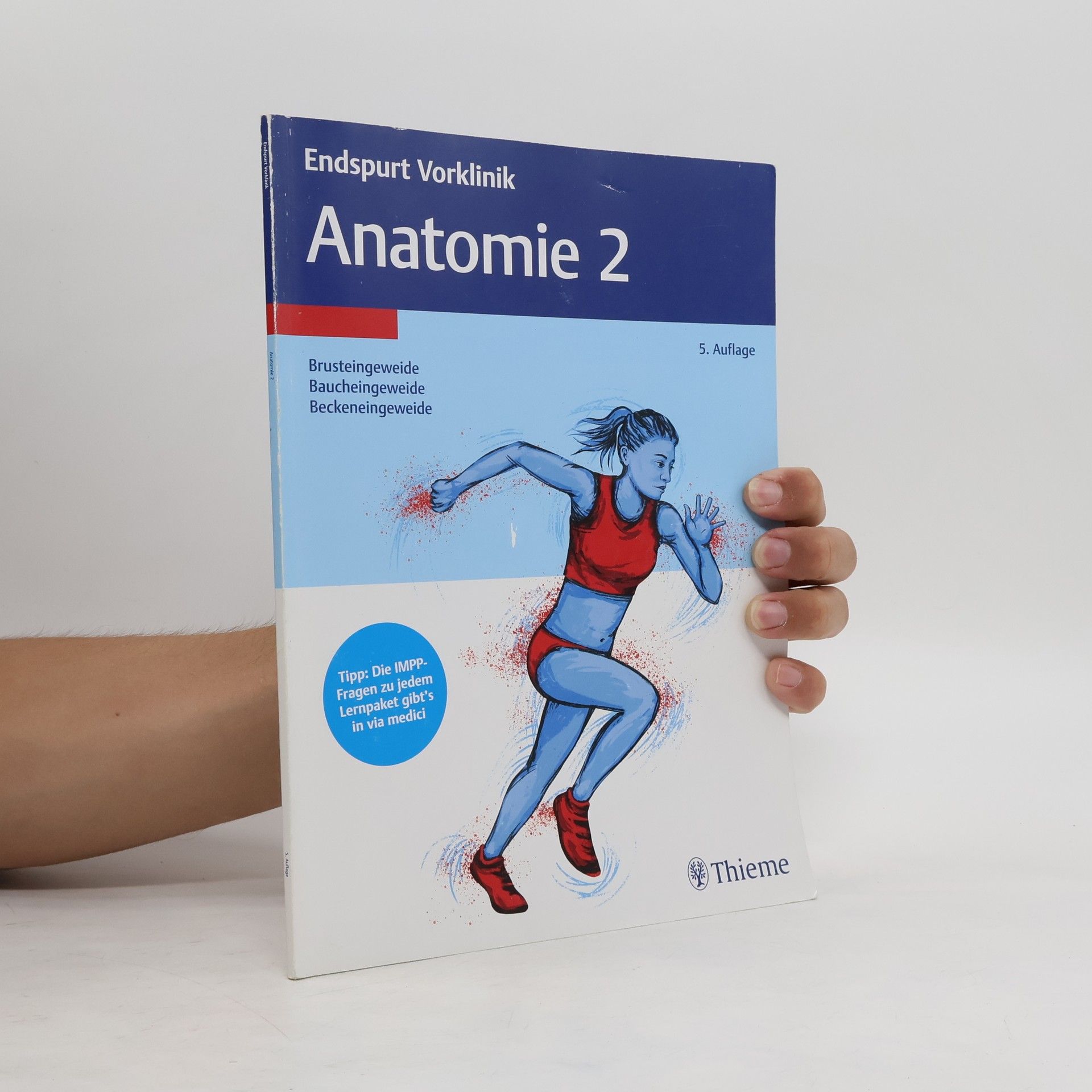 Autorenkollektiv Endspurt Vorklinik: Anatomie 2