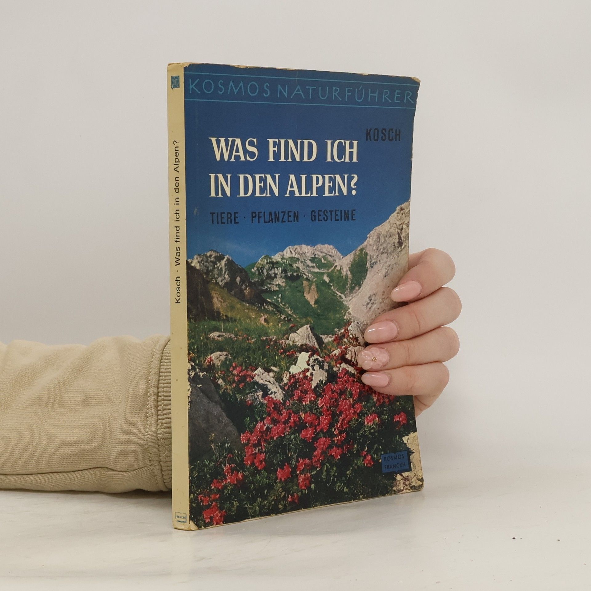 A Kosch Was find ich in den Alpen?