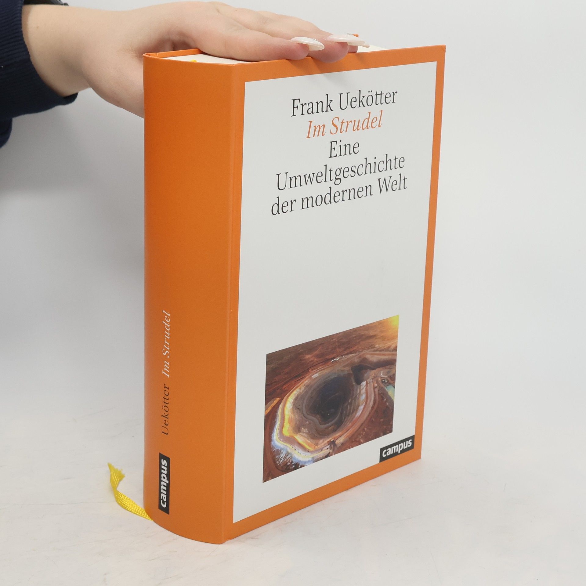 Frank Uekötter Im Strudel