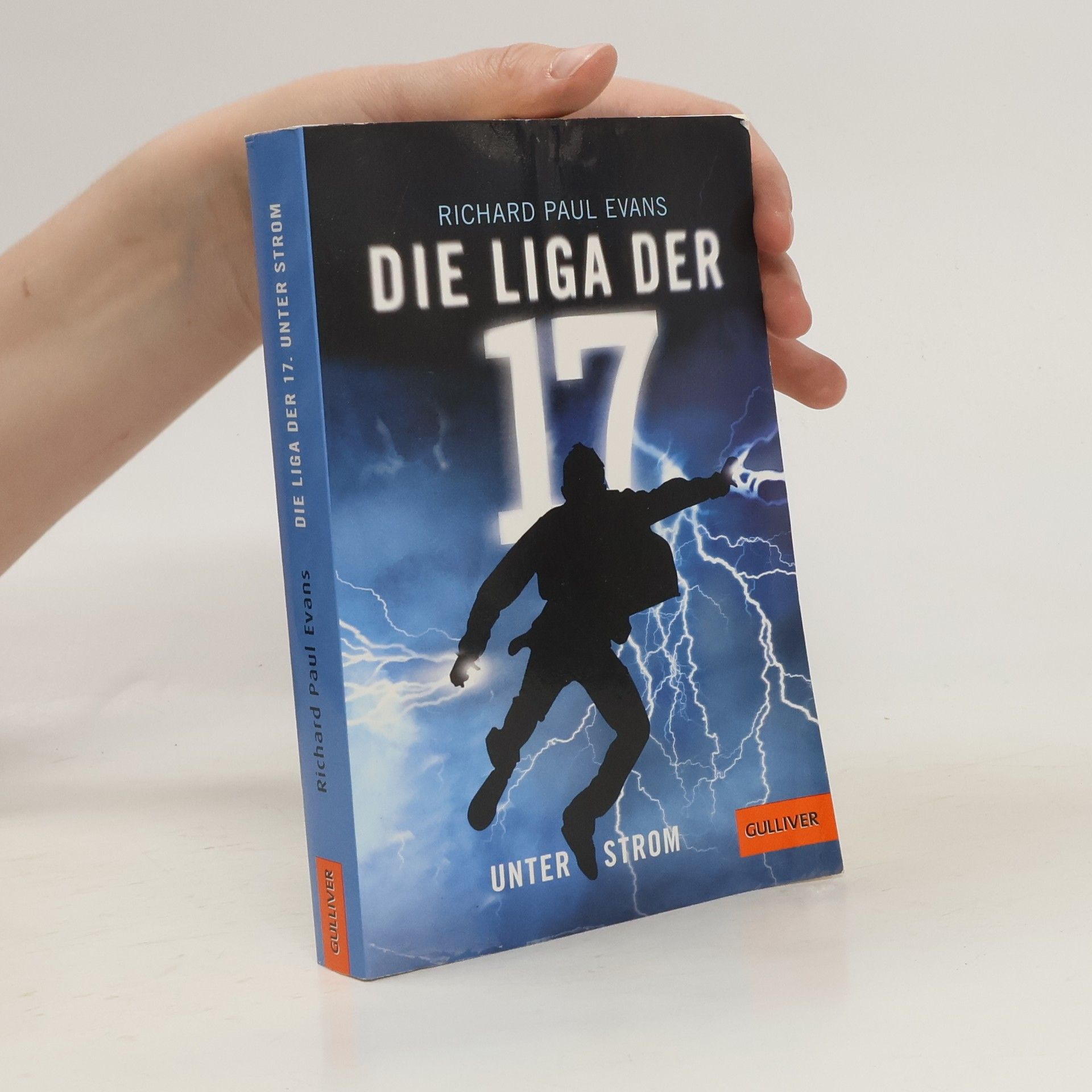 Richard Paul Evans Die Liga der 17 - unter Strom