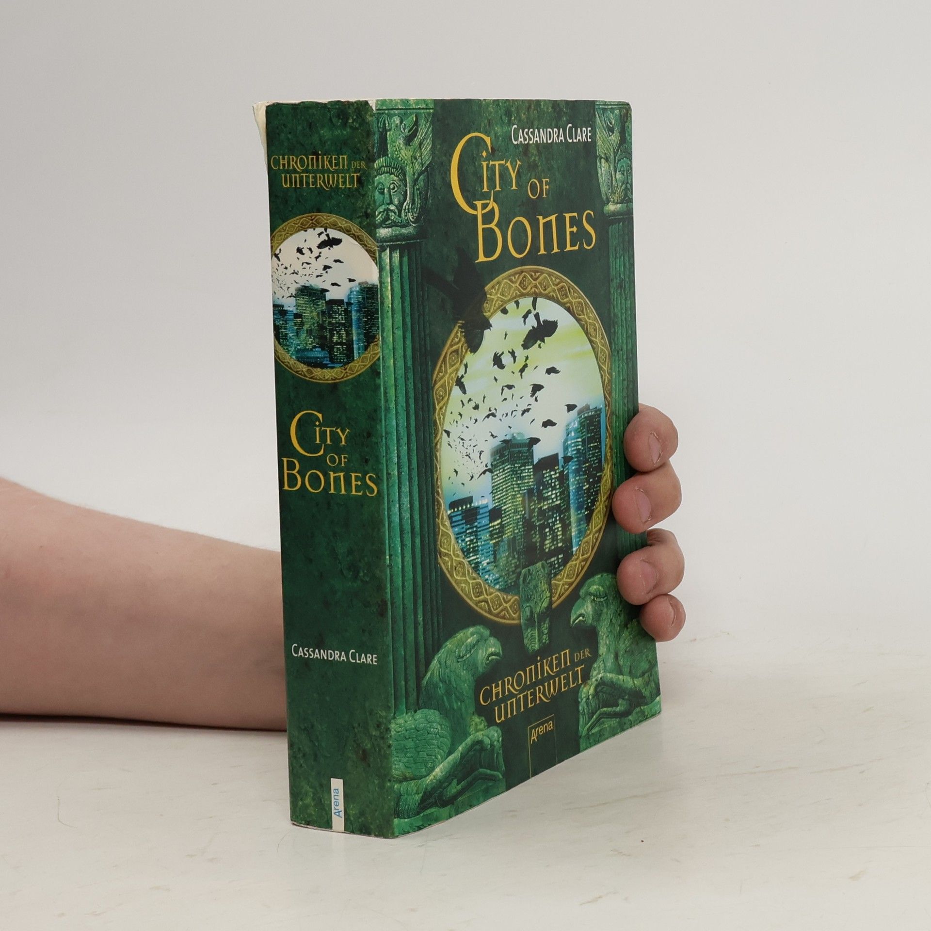 Cassandra Clare Chroniken der Unterwelt. City of Bones