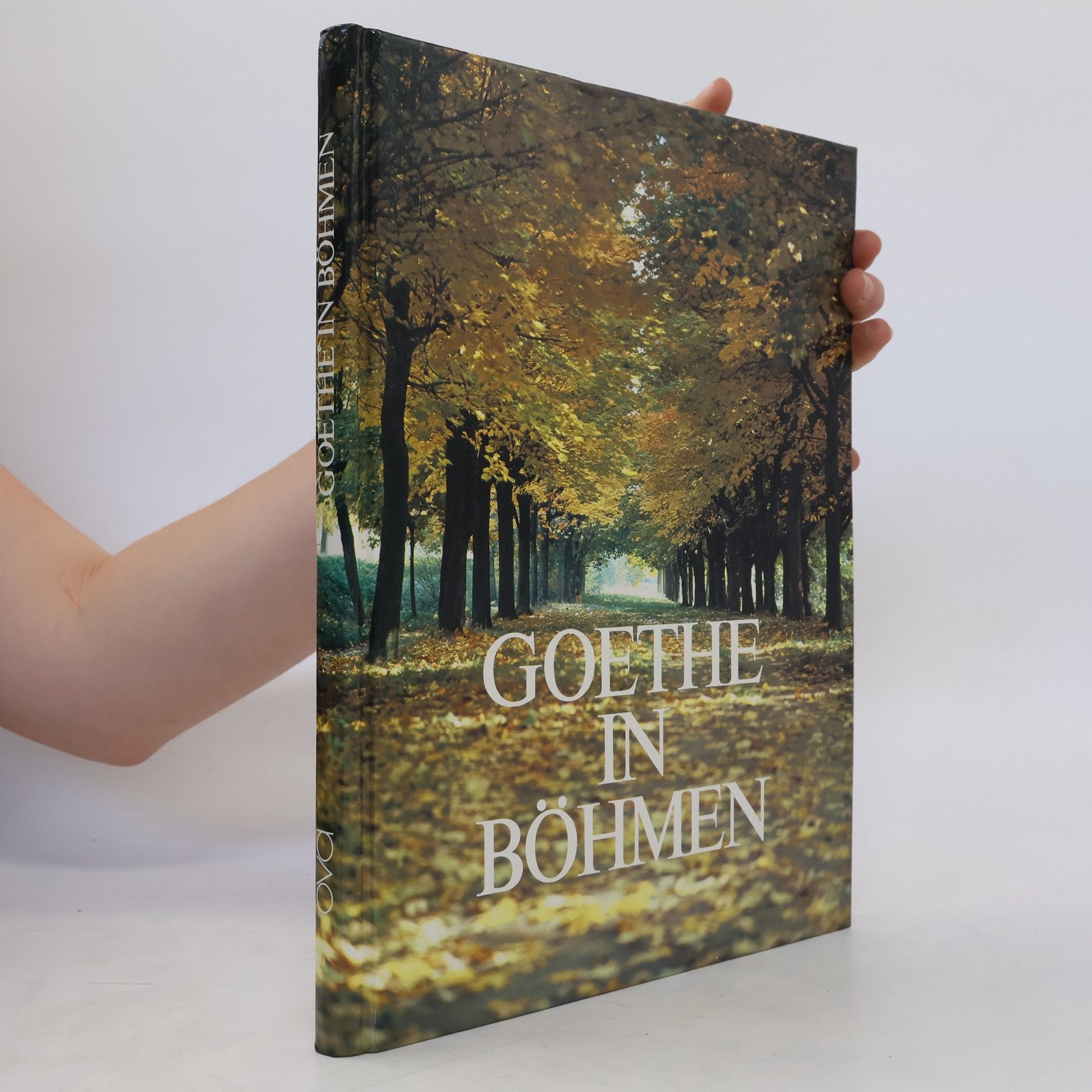 Hermann Braun Goethe in Böhmen