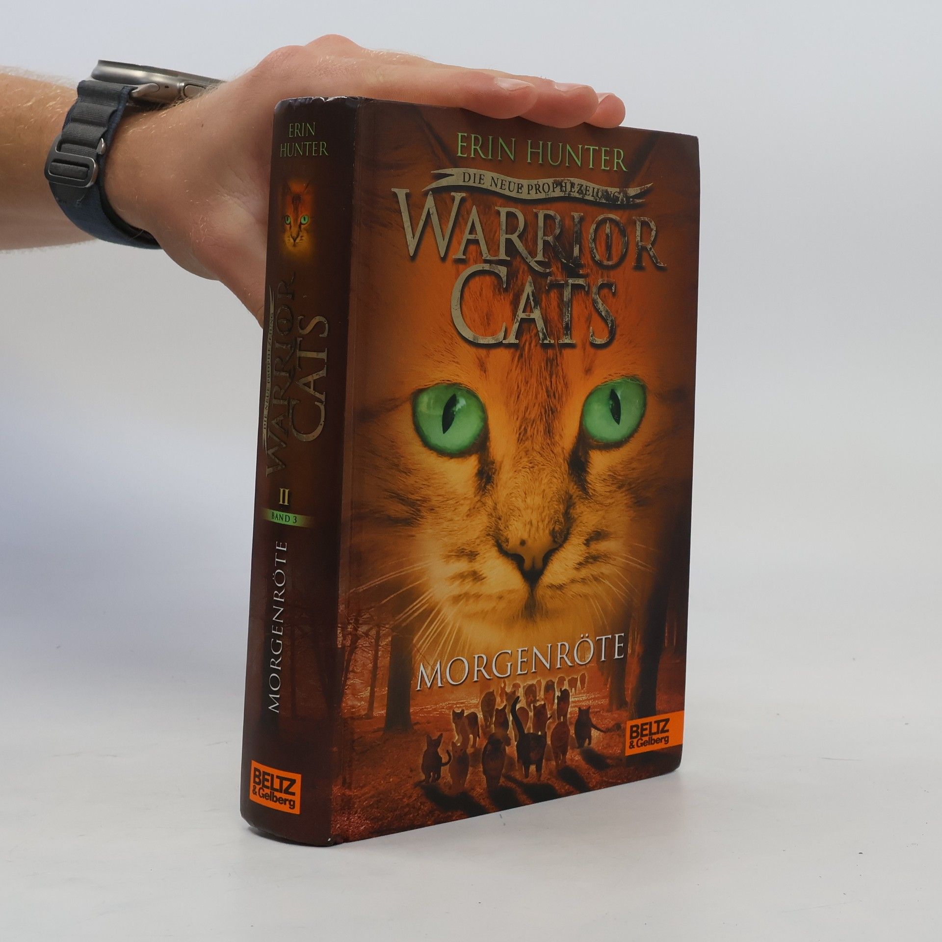 Erin Hunter Warrior Cats - Morgenröte