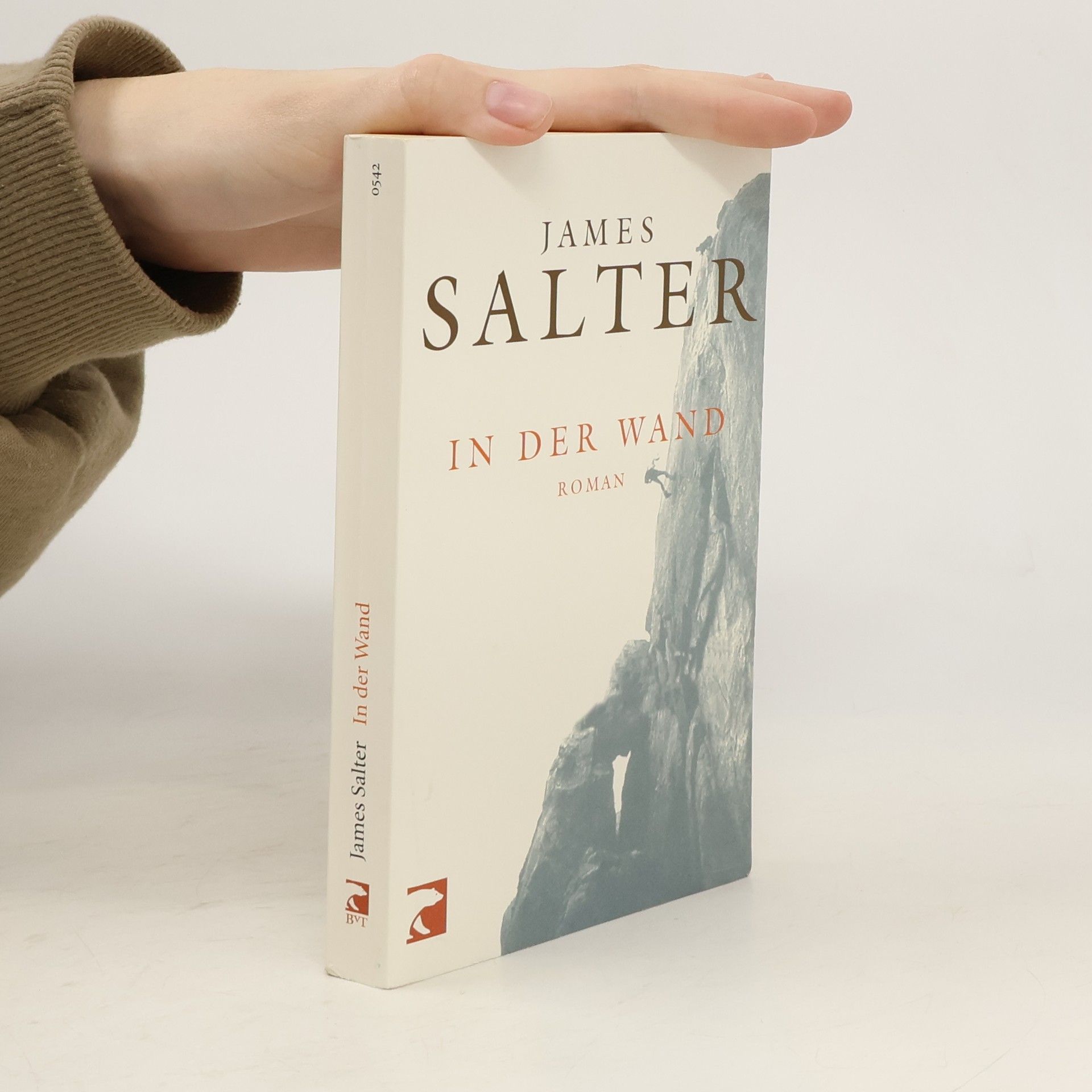 James Salter In der Wand